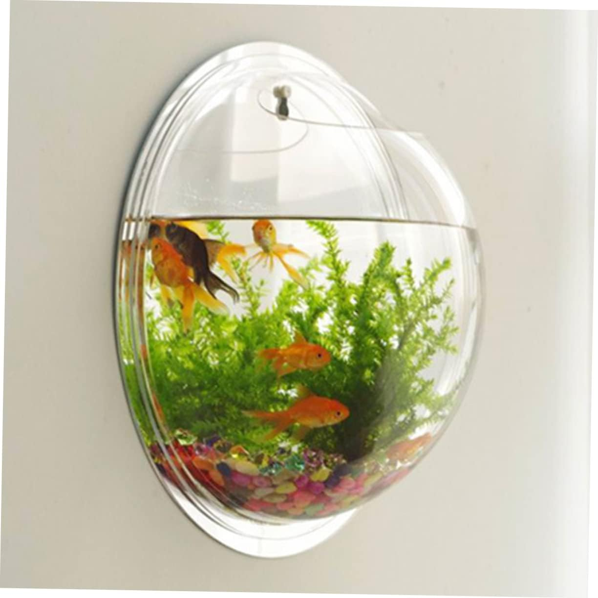 GANAZONO Wall-Mounted Acrylic Fish Bowl Planter Clear Hanging Plant Pot Decorative Tank for Home Decor Modern Hydroponic Container for Weddings and Parties image number 2