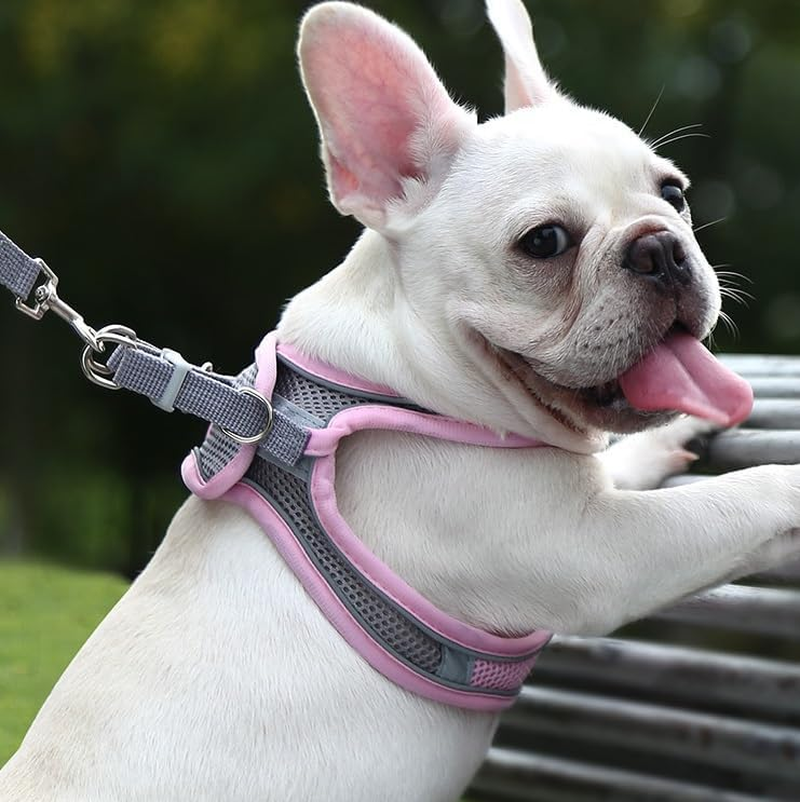 Reflective Step in Mesh Dog Harness - No Pull, Quick Fit, Comfortable, Pet Harnesses for Walking & Training - Small, Medium Dogs (Yellow, Large) image number 4