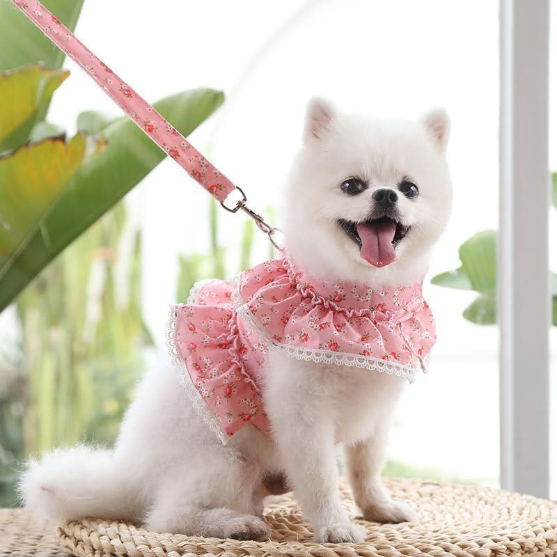Dog Dress Harness Vest with Leash Set, Pink Flower Puppy Harness, Cute Doggy Lace Princess Clothes, Soft Breathable Mesh, Outdoor Walking Harness for Small Medium Dogs Cats (Pink, M)