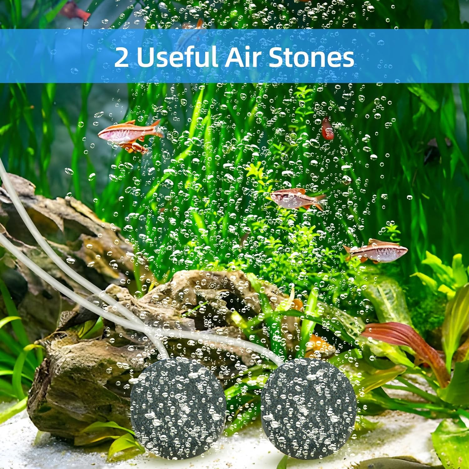 ACAGALA Solar Powered Air Pump Kit 10V 8W Solar Panel Air Pump with Pipe Air Stones 3 Working Modes Waterproof Solar Pond Aerator Oxygenator for Garden Fish Tank Pool Fishing Pond