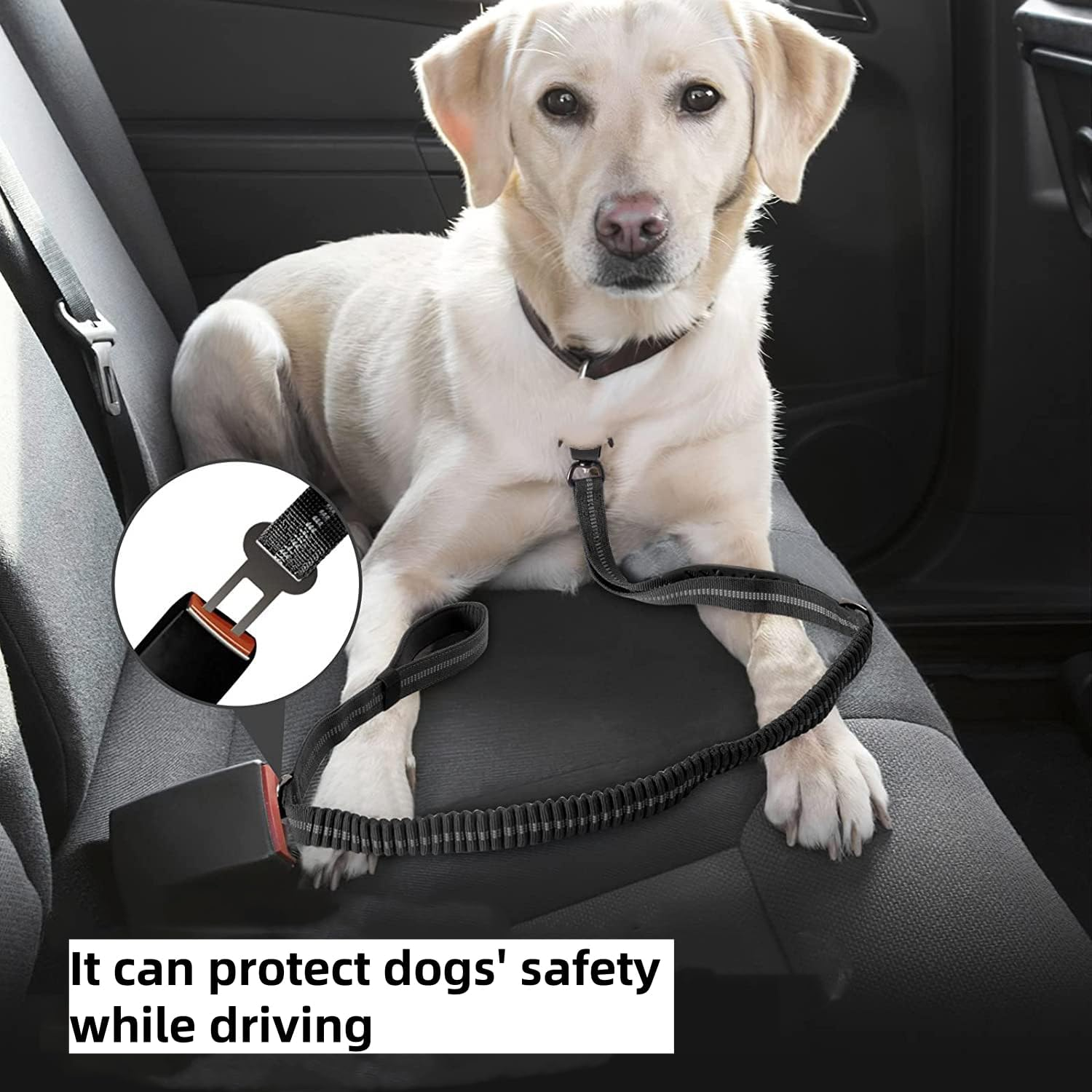 Bungee Dog Leash for Walking - 4-6FT Heavy Duty Dog Leash with Highly Reflective Threads and Buffer, with Car Seat Belt Buckle and Adjustable for Medium and Large Dogs（Orange） image number 2