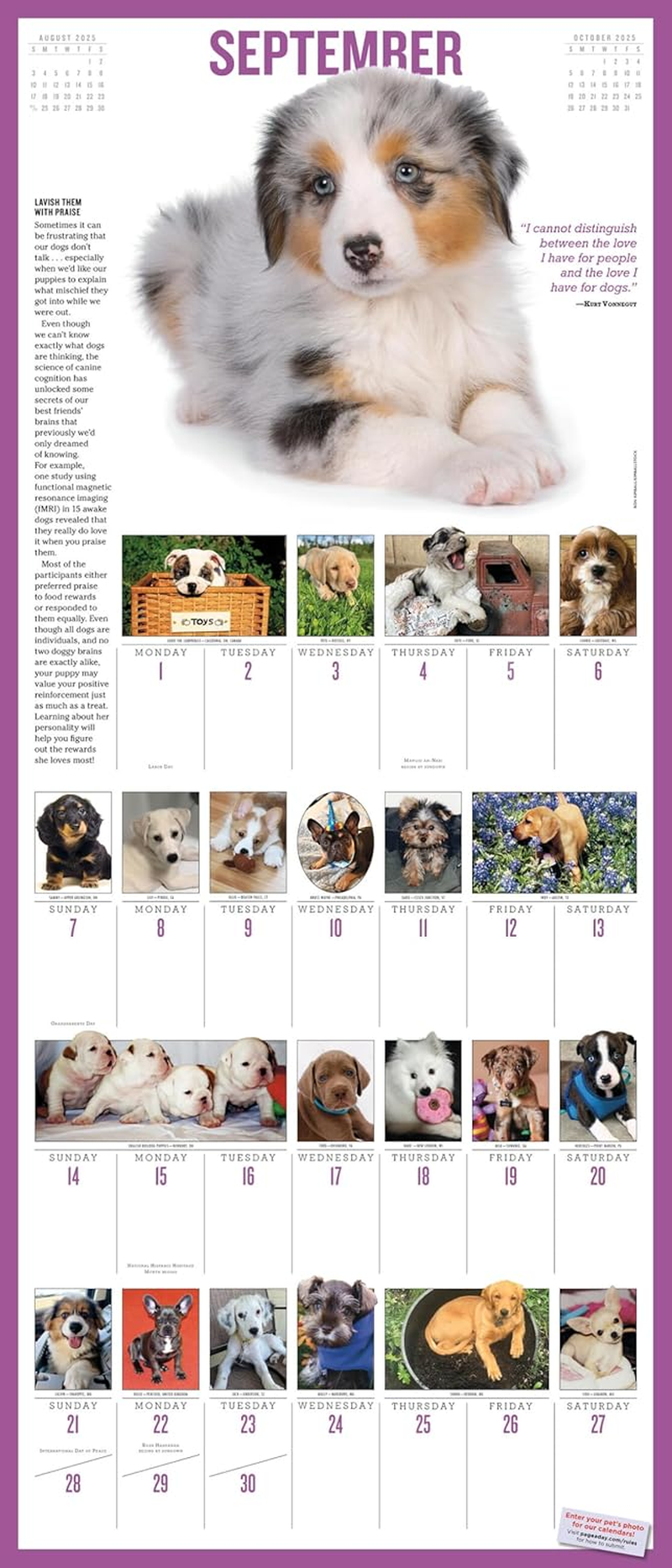 365 Puppies-A-Year Picture-A-Day Wall Calendar 2025 image number 2