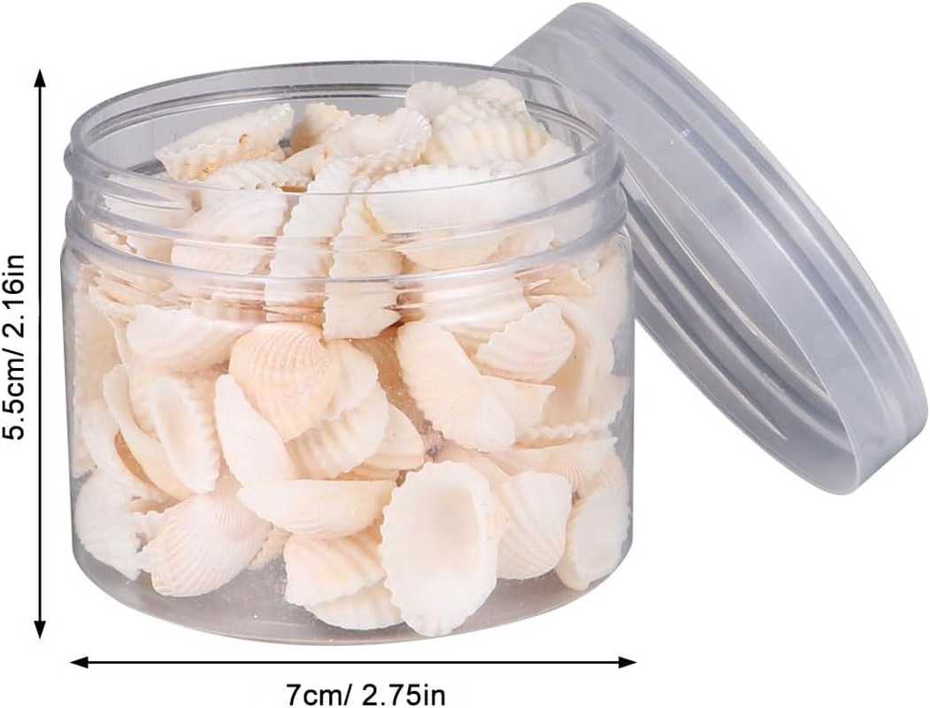 SEWACC 2Pcs Natural Shell Scallop Canned Small White Seashells Micro Landscape Decor Sea Shells Mixed Wishing Bottle Clam Shells for Crafts Beach Shells Seashells for Crafts Sandbag Large image number 6