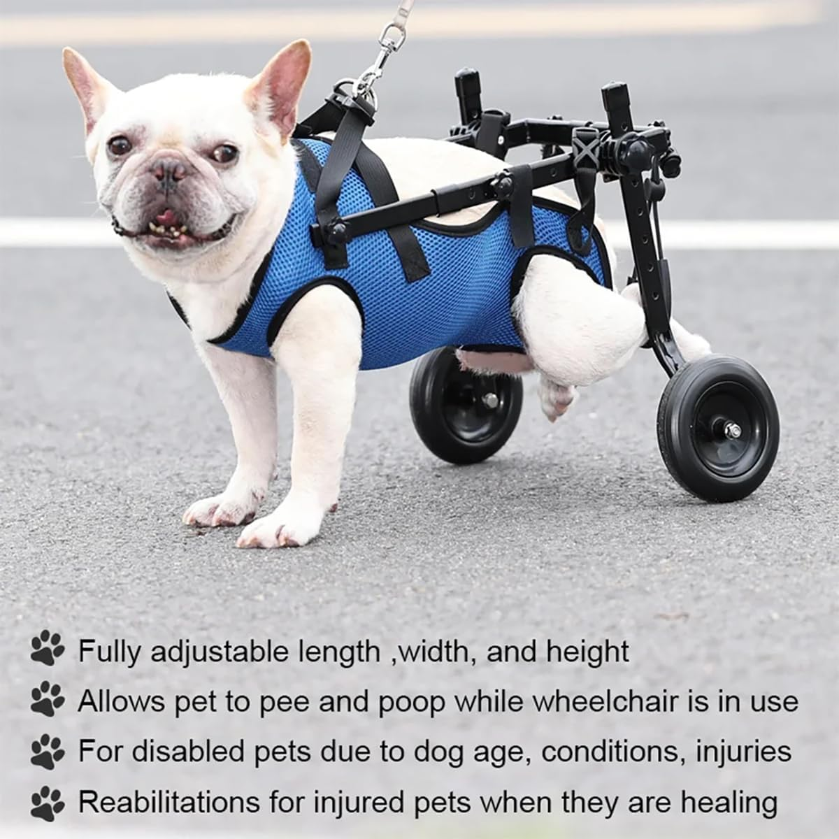 Portable Pet Wheelchair for Disabled Dogs Adjustable Dog Wheelchair for Back Legs Mobility Aids for Disabled Pets Dog Leg Brace and Hip Support (XS) image number 5