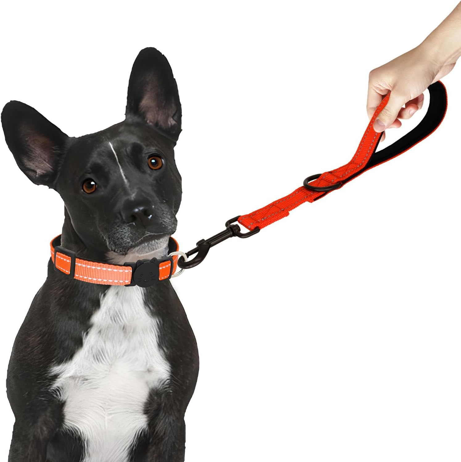 Giecoon Short Dog Leash, Reflective Traffic Leash with Padded Handle, 1 FT Nylon Training Leashes for Small Meidum Large Dogs, Orange - Blue image number 4