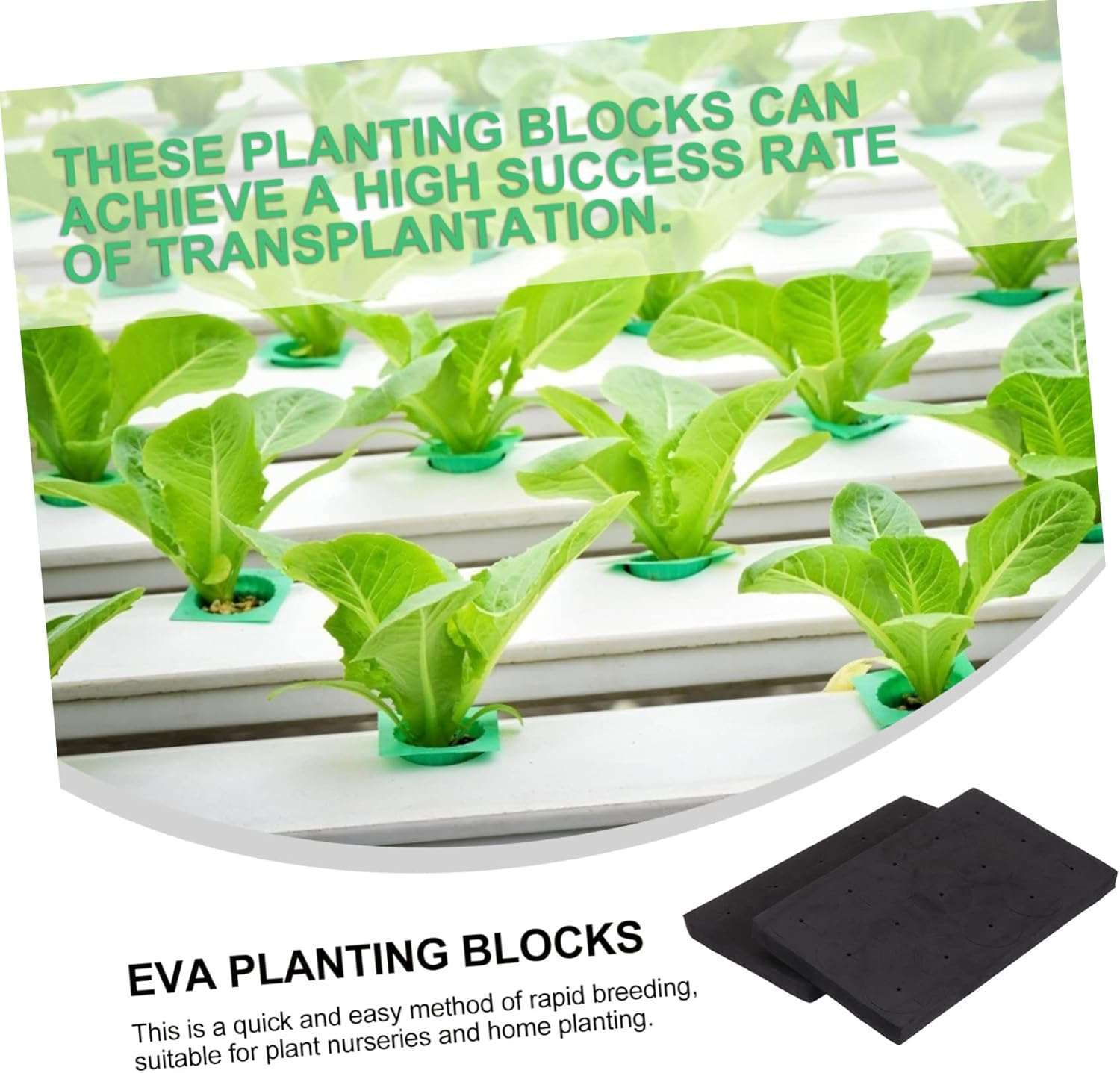 BESPORTBLE 30 Pcs Soilless Cultivation Block Insert Foam Gardening Net Pots EVA Growing Sponge for Hydroponics Flowers Vegetables Family Balcony Garden Use image number 3