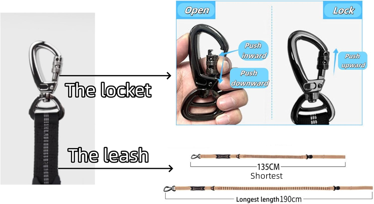 Bungee Dog Leash for Walking - 4-6FT Heavy Duty Dog Leash with Highly Reflective Threads and Buffer, with Car Seat Belt Buckle and Adjustable for Medium and Large Dogs（Orange） image number 6