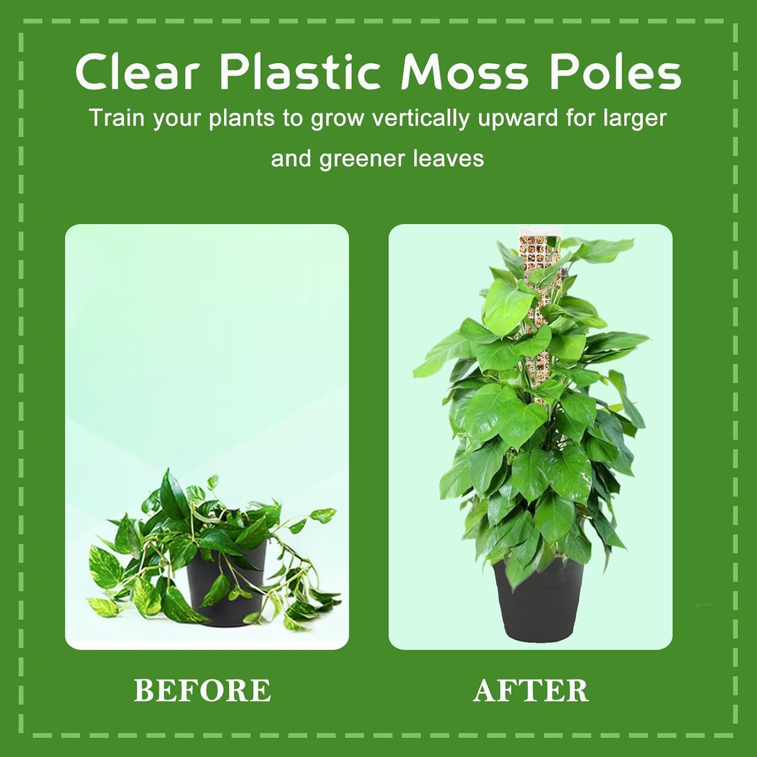 4 Pcs 24 Inch Plastic Moss Pole for Plants Monstera &ndash; Stackable Plant Support for Indoor Climbing Plants & Sphagnum Moss, Perfect for Your Green Oasis! image number 5