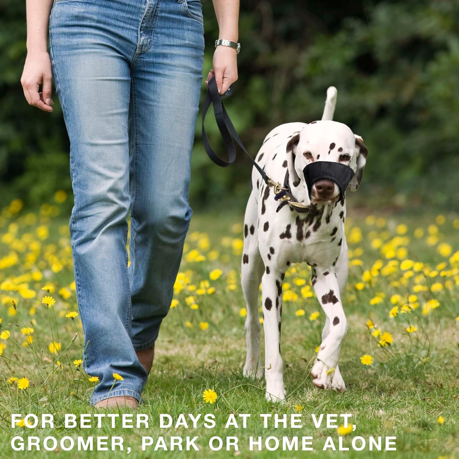 Weebo Pets Breathable Nylon Cloth Safety Muzzle (XS) image number 6