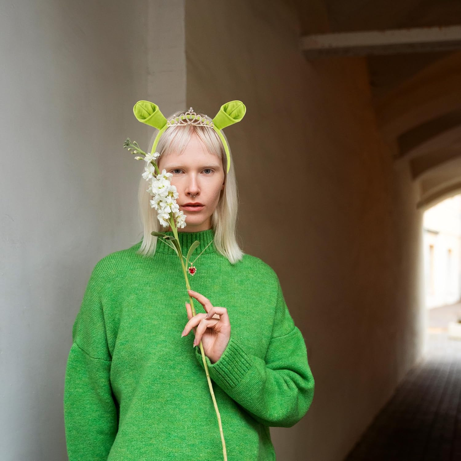 3Pcs Green Ogre Ears Headband Red Heart Necklace Crown Halloween Costume Accessories Monster Cosplay Party image number 5