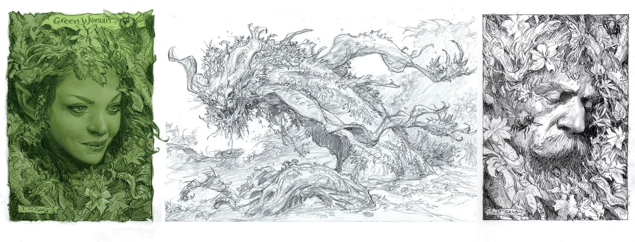 Iain Mccaig'S Once upon a Time in the Sketchbook image number 2