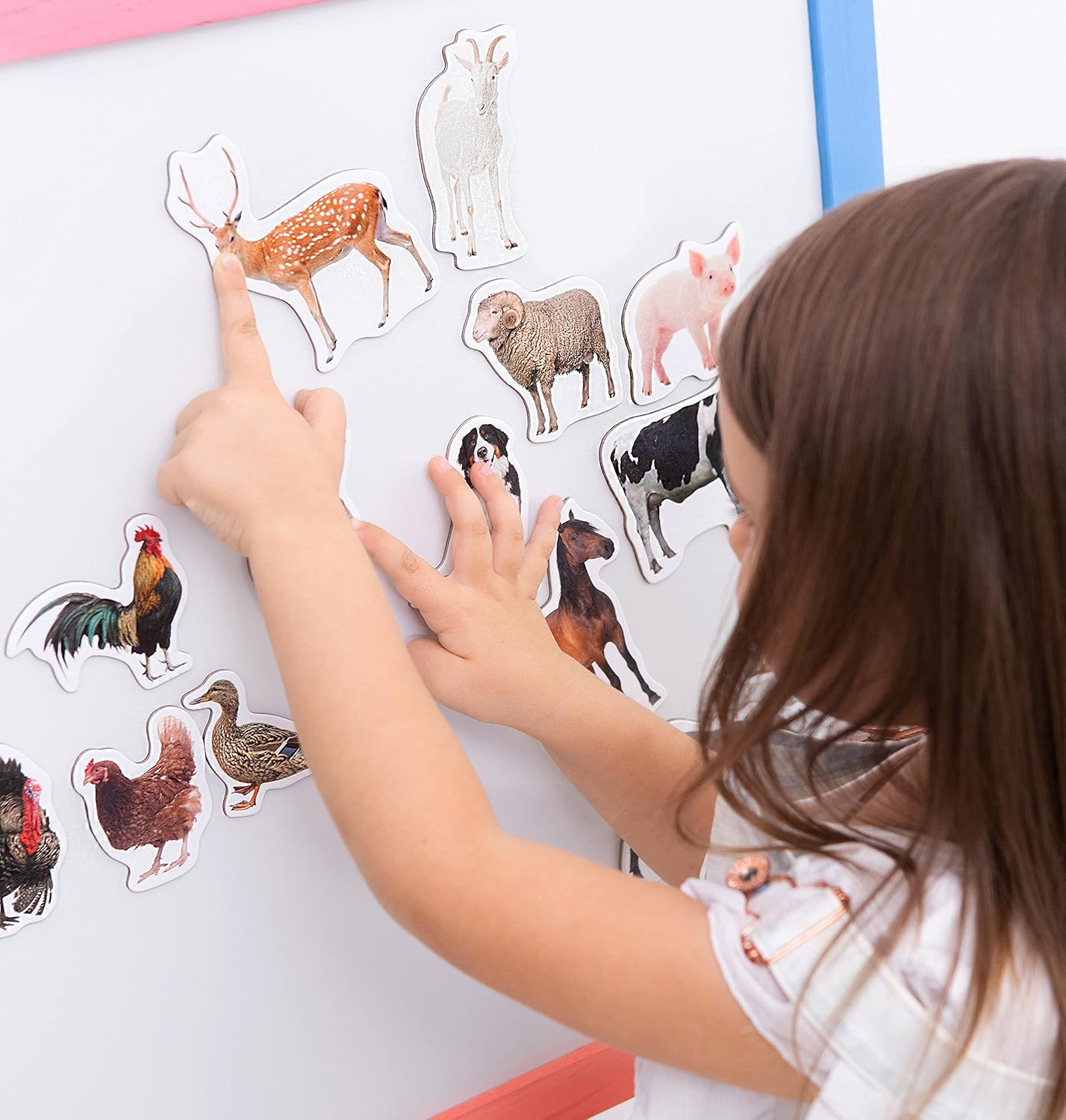 Farm Animals & Fruit & Veggie Photo Magnets - 85 Large Fridge Magnets for Toddlers - Zoo Animals - Children'S Gifts image number 6