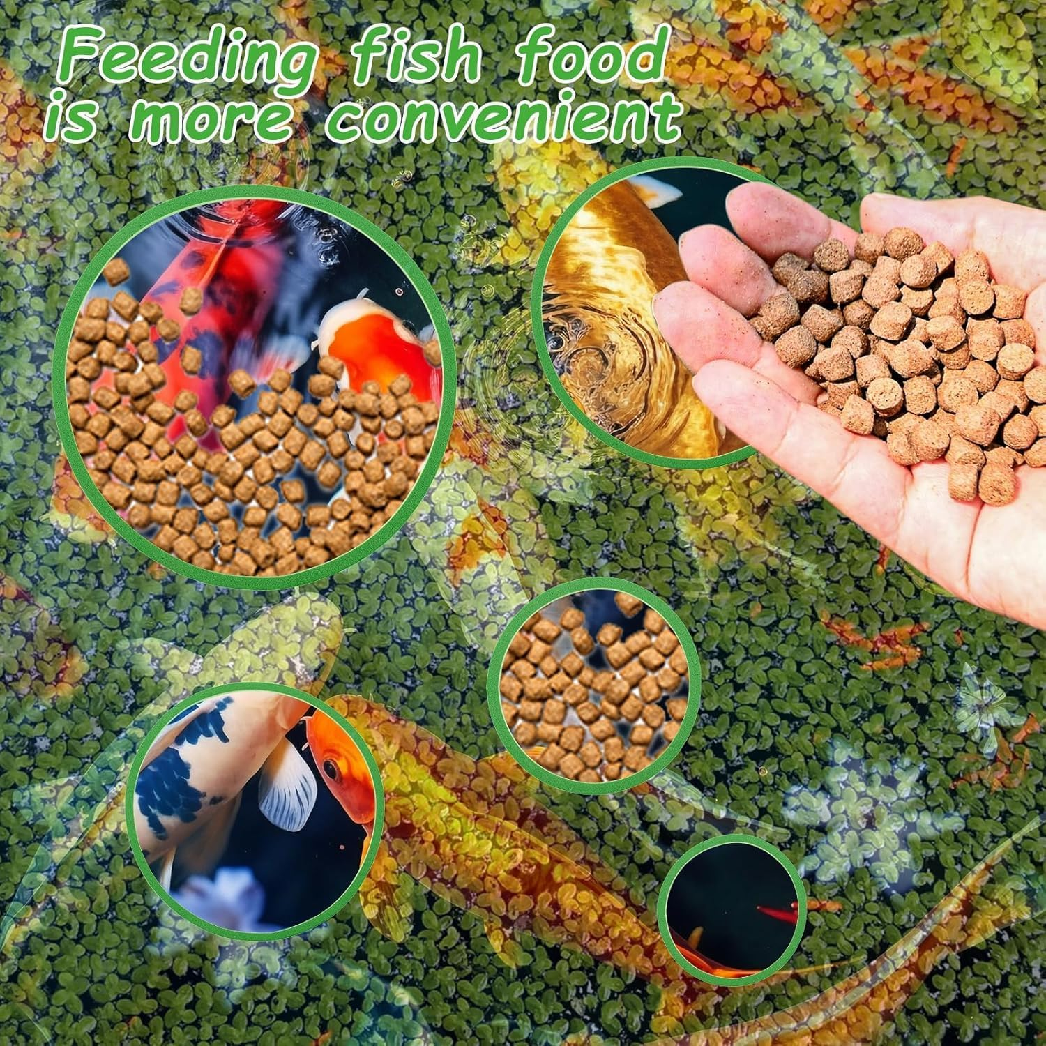 Limcryspp 5 Sizes Betta Feeding Rings,5 Pcs Aquarium Floating Plant Rings,Fish Feeding Ring for Fish Tank, Floating Plant Corral for Keeping Floating Plants in Place Aquarium Floating (Green) image number 4