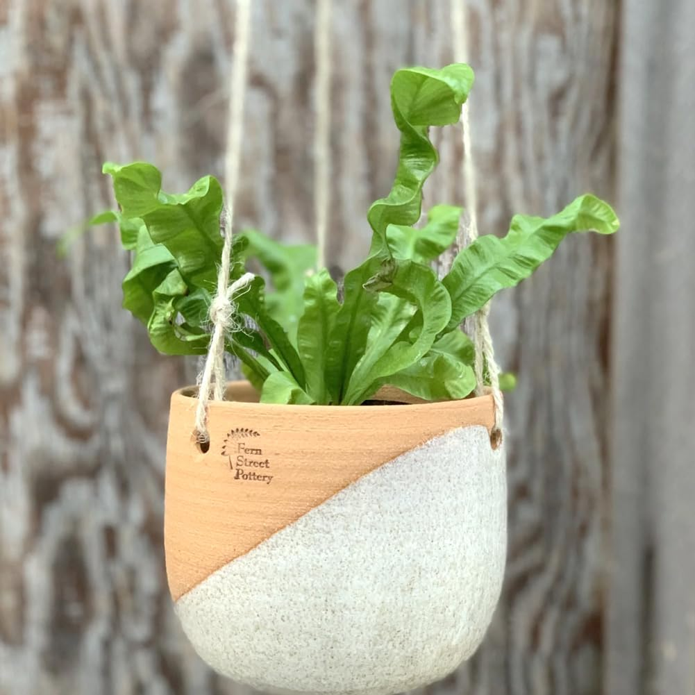 Jijacraft Jute String Coloured Craft Cord Garden Cord Decorative Cord 2 Mm X 100 M for DIY Crafts Gardening Gifts Packaging (Beige) - Grey image number 6