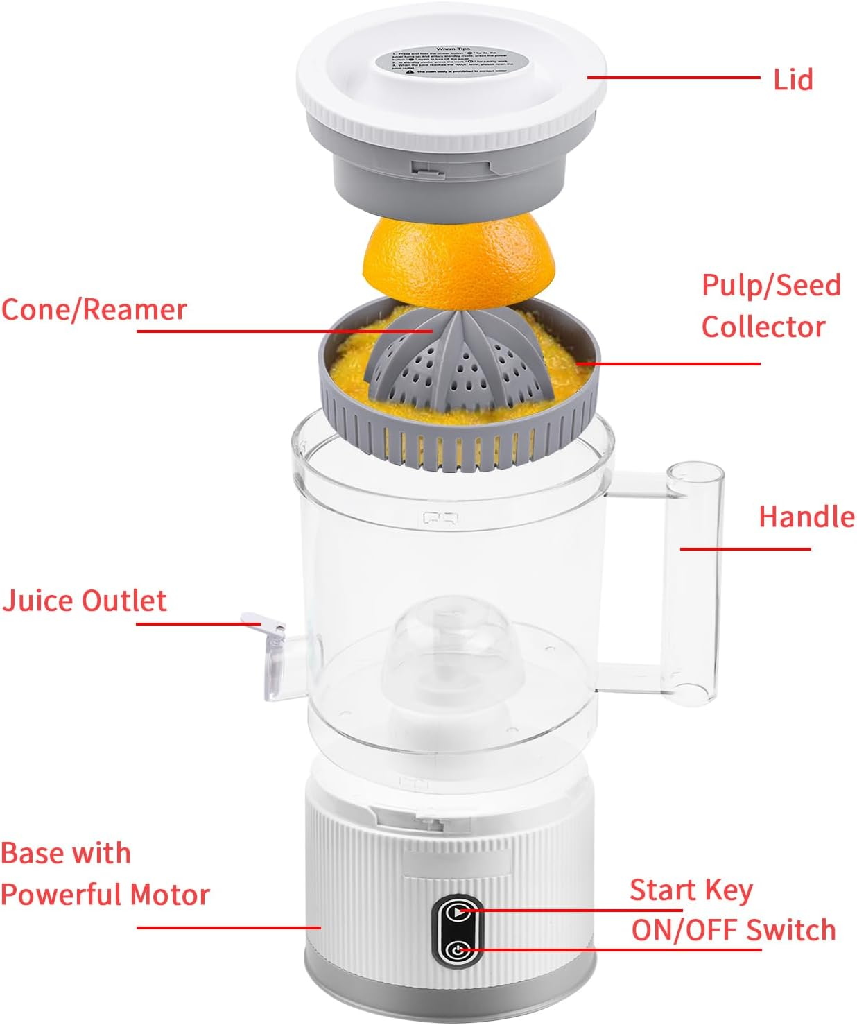 Electric Citrus Juicer, Rechargeable Juicer Machine with USB Cable and Cleaning Brush, Touch Button, Automatic Orange Lime Lemon Grapefruit Squeezer, Easy to Clean Portable Juicer, White image number 1