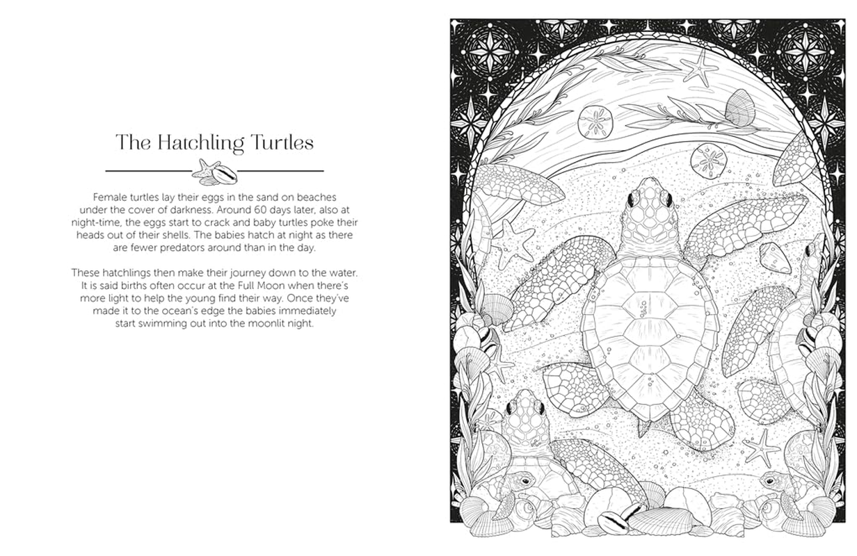 Luna Colouring: Embrace the Magic of the Moon