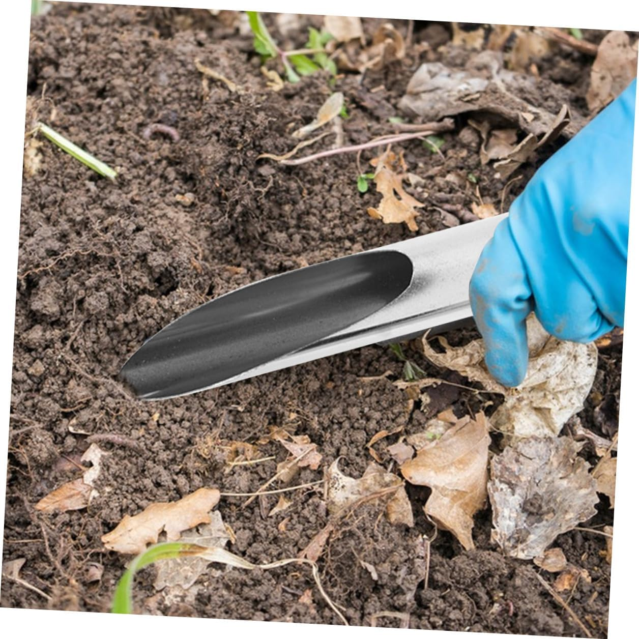 Stainless Steel Soil Scoop and Planting Spoon for Gardening Small Size Multi-Use Garden Shovel Bucket for Bonsai Succulents and Home Vegetable Planting image number 2