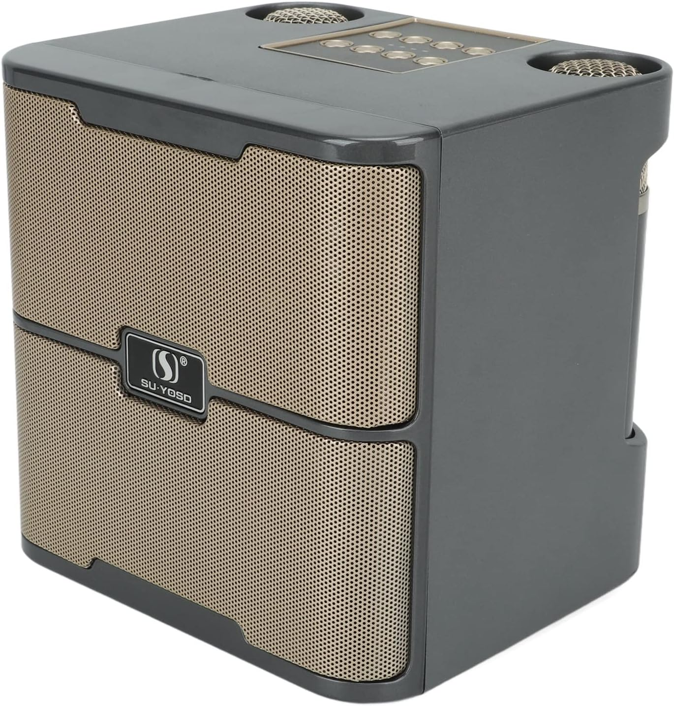 Karaoke Machine with 2 Wireless Microphones, Portable Speaker PA System, Supports TF USB, Sound Stereo Singing Machine for Home Meeting Party