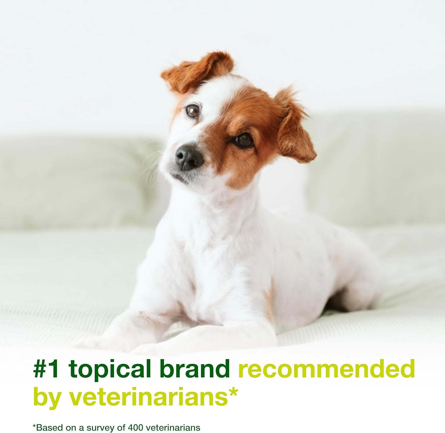 Douxo S3 SEB Mousse 5.1 Oz (150 Ml) - Relief for Seborrhea in Dogs and Cats (Helps with Oily to Flaky Skin) image number 5