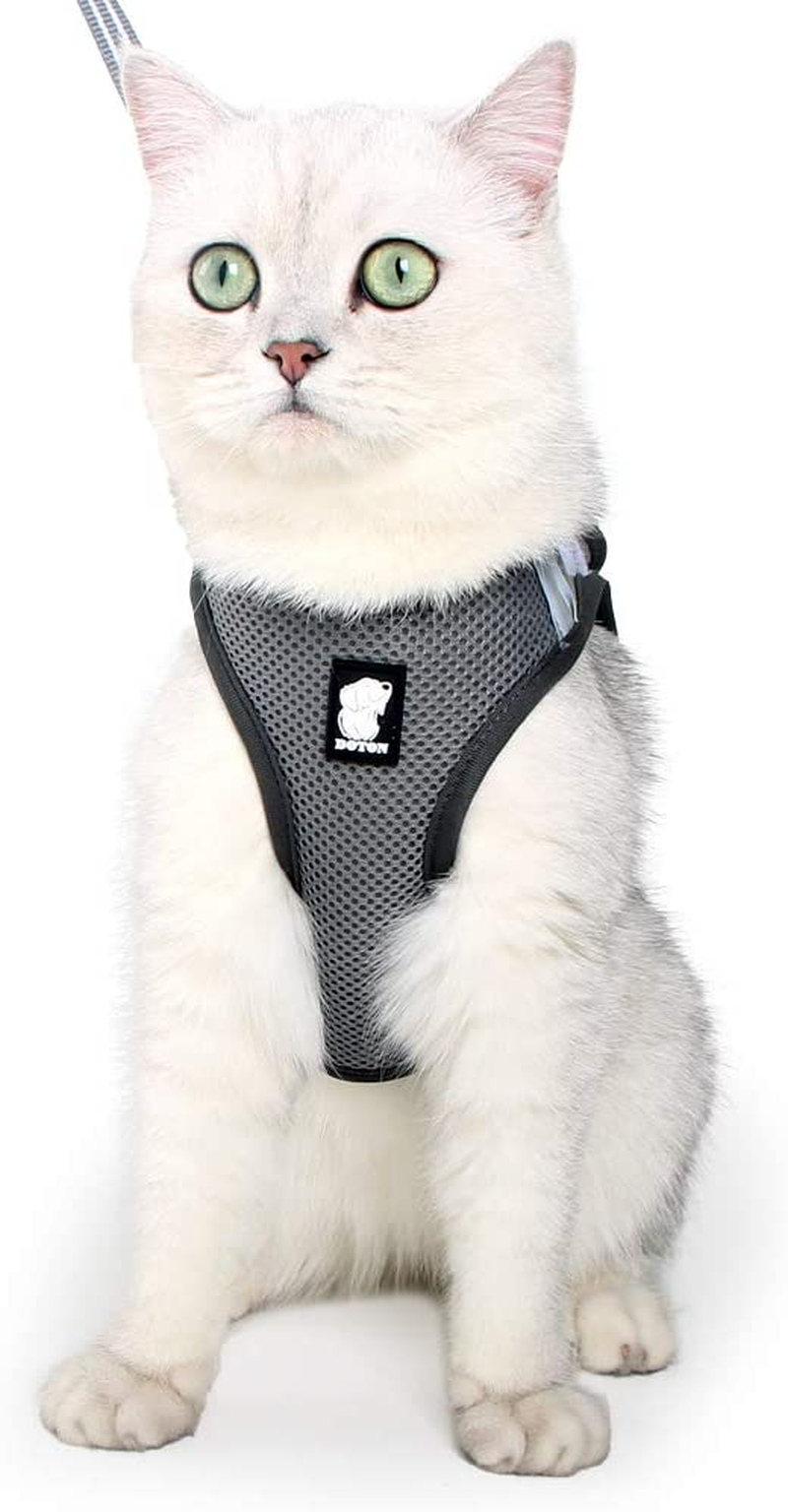Dotoner Cat Outdoor Walking Harness Set, Pet Vest Cat Harness Breathable Mesh, Adjustable Reflective Cat Chest Straps with Escape Proof Buckle (L (Pack of 1), Grey)