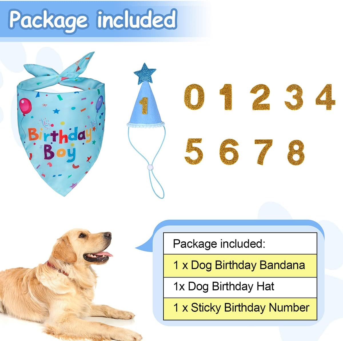 Dog Birthday Bandana & Hat Set, Blue, Medium, Dog Accessories - Blue Birthday image number 6