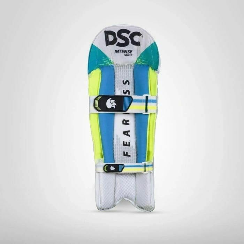 DSC Intese Shoc Wicket Keeping Pads