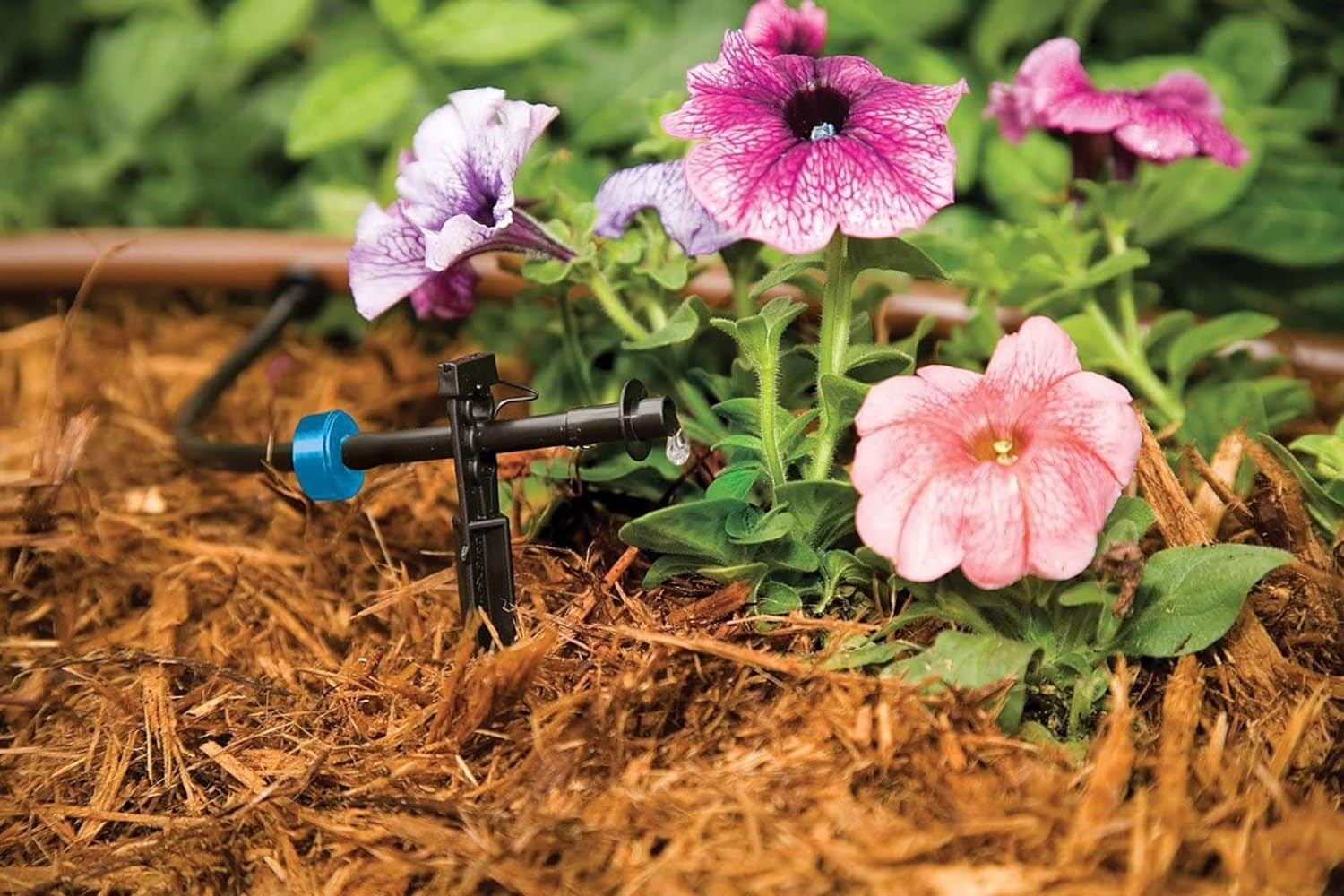 Rain Bird SW05-10PS Drip Irrigation Spot Watering Dripper/Emitter, 0.5 (1/2) Gallon per Hour, 10-Pack,Blue/Black image number 3