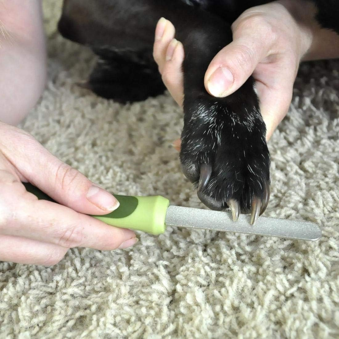 Coastal Pet Safari Dog Diamond Nail File - Diamond Finish for Smooth Nails - Removes Burs from Outdoor & Indoor Dogs - One Size image number 5