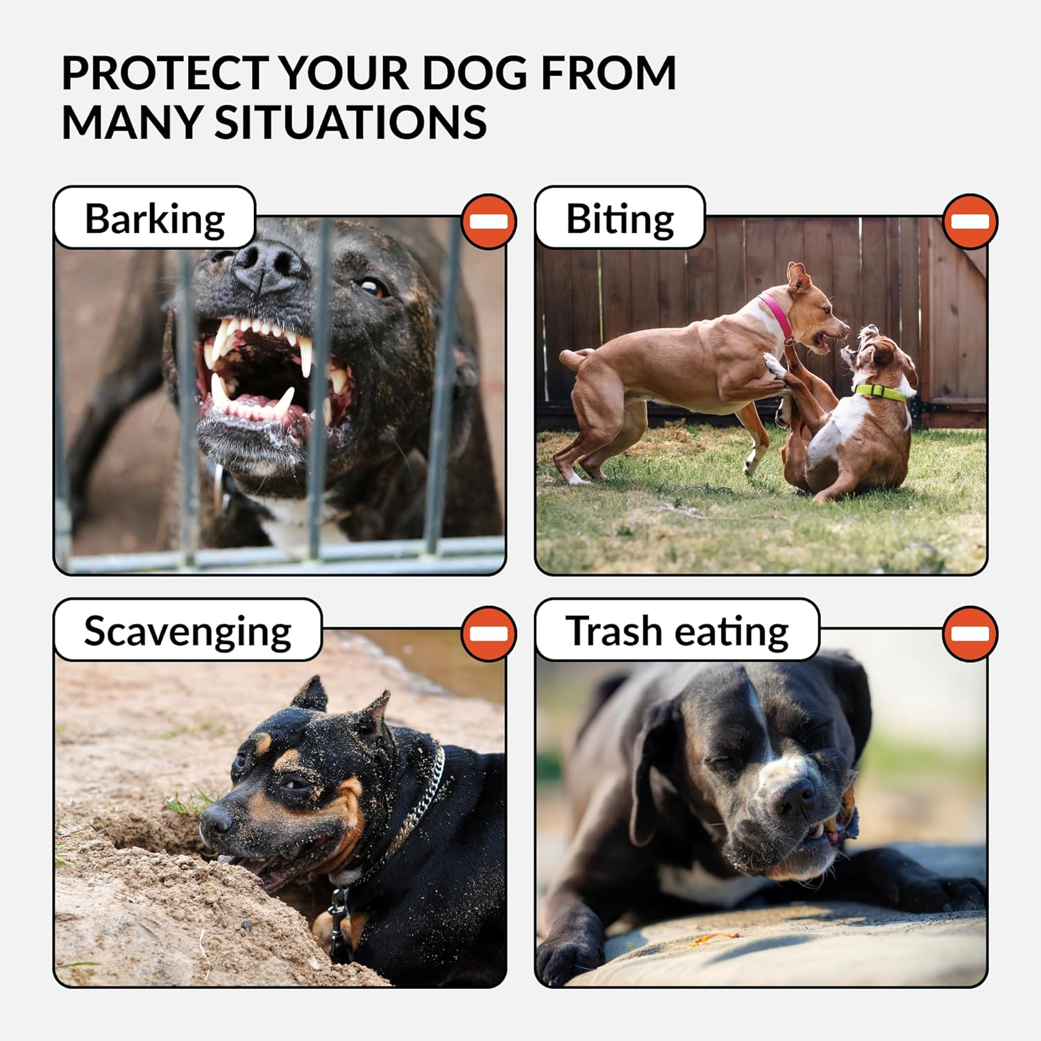 Collardirect Pitbull Dog Muzzle Leather Amstaff Muzzles Staffordshire Terrier Secure Basket (Black) image number 3