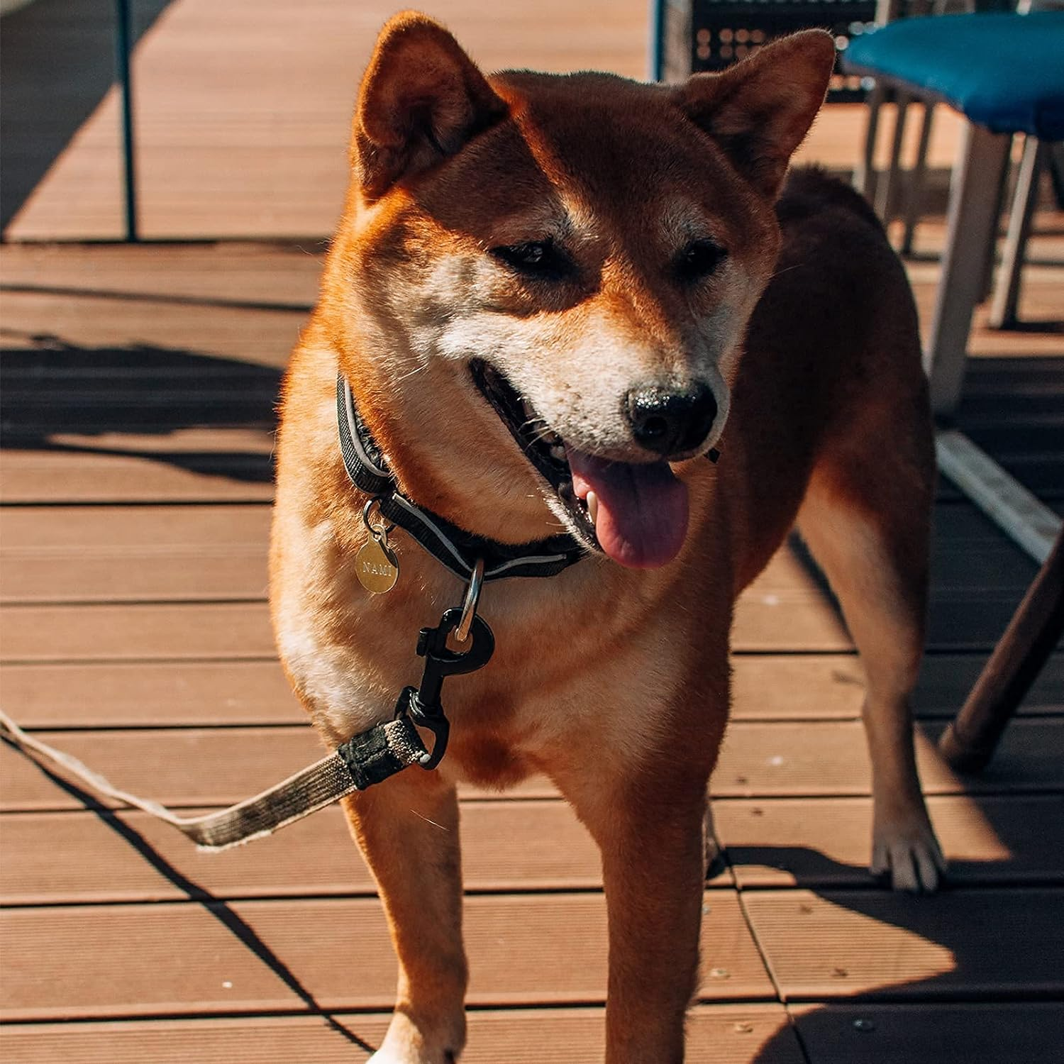 Swivel Eye Bolt Snap Hooks Black Heavy Duty Dog Leash Clips Dog Leash Clasp Dog Leash Snaps Hooks Trigger Clip Trigger Snaps 3/4" 4Pcs image number 3