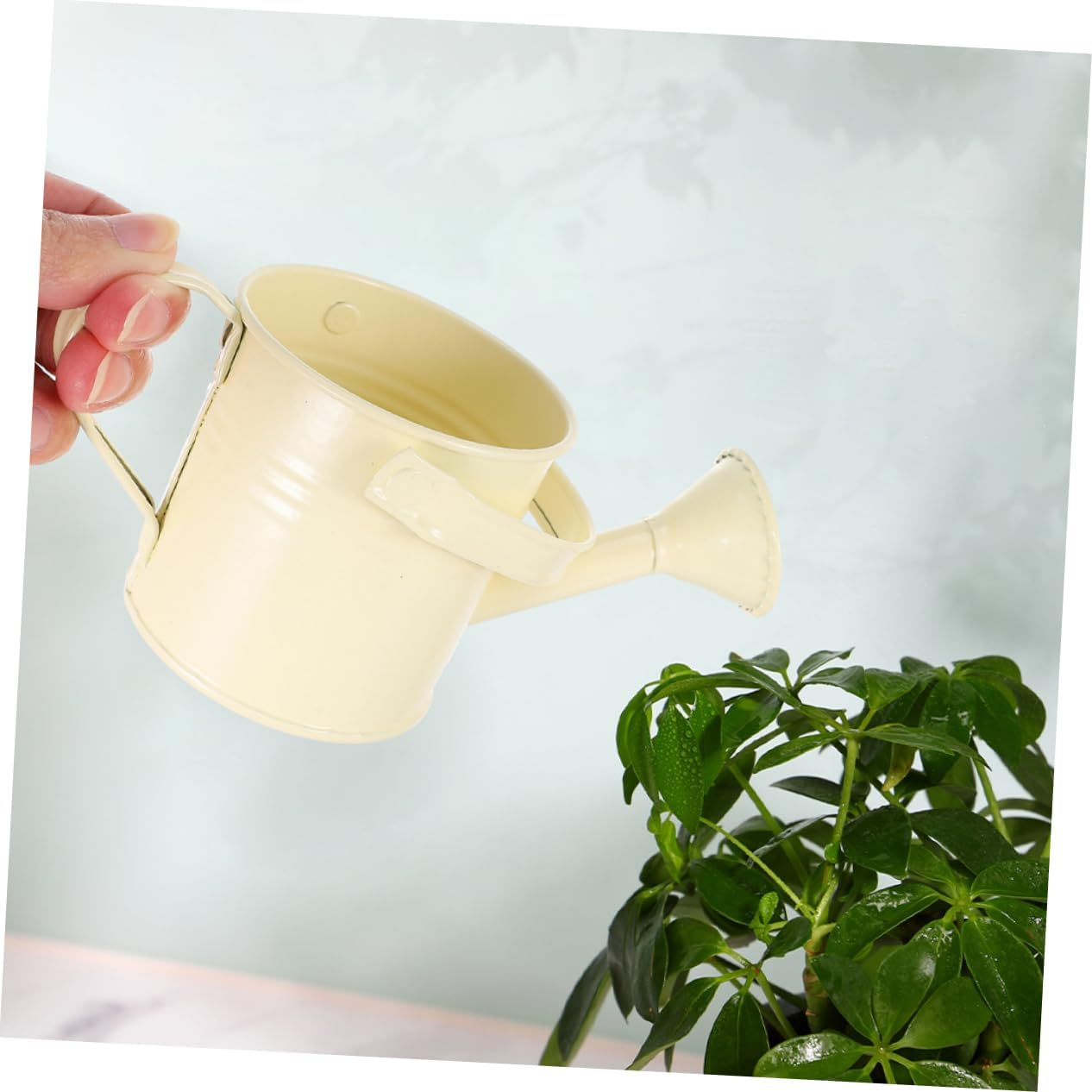 4Pcs Sturdy Iron Material Watering Can for Outdoor Plants Portable Garden Watering Kettle Long Spout