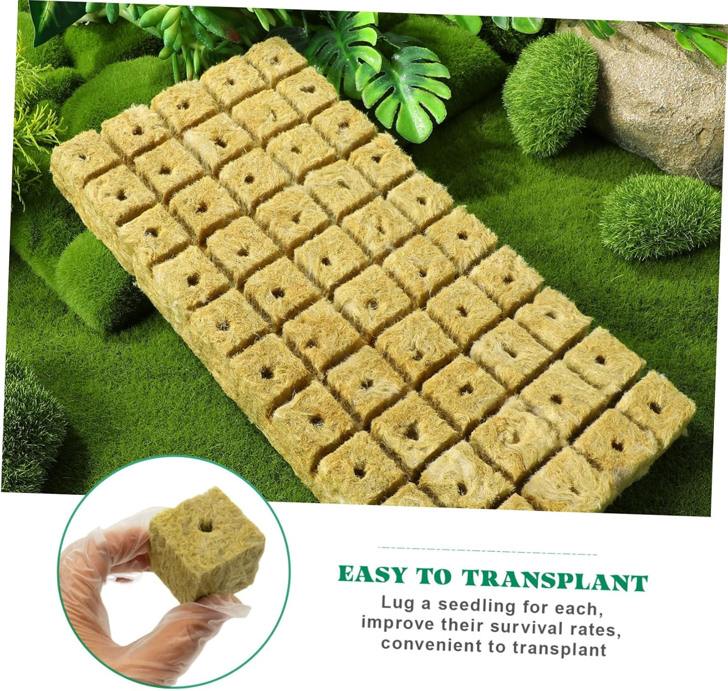 CANIGHT 100Pcs Hydroponic Grow Cubes Plugs for Indoor and Outdoor Gardening 25X25X30Mm Nutrient Blocks for Soilless Cultivation Compatible Hydroponic Systems image number 4