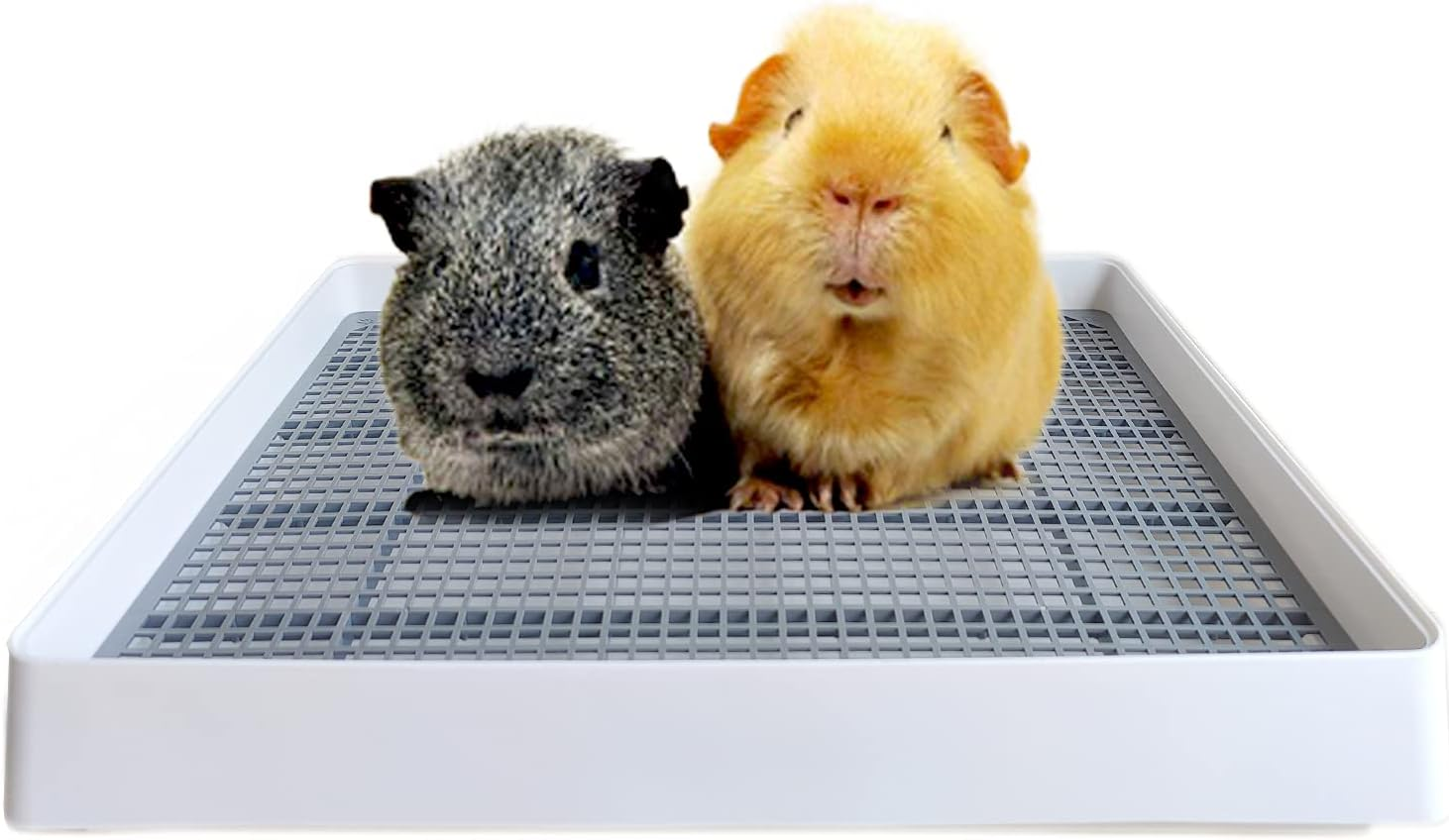 PODOO Rabbit Large Litter Box, Guinea Pig Training Pan Cage with Toilet Tray, Ideal for Rats, Ferret, Bunny Small and Medium Animals (Medium) image number 1