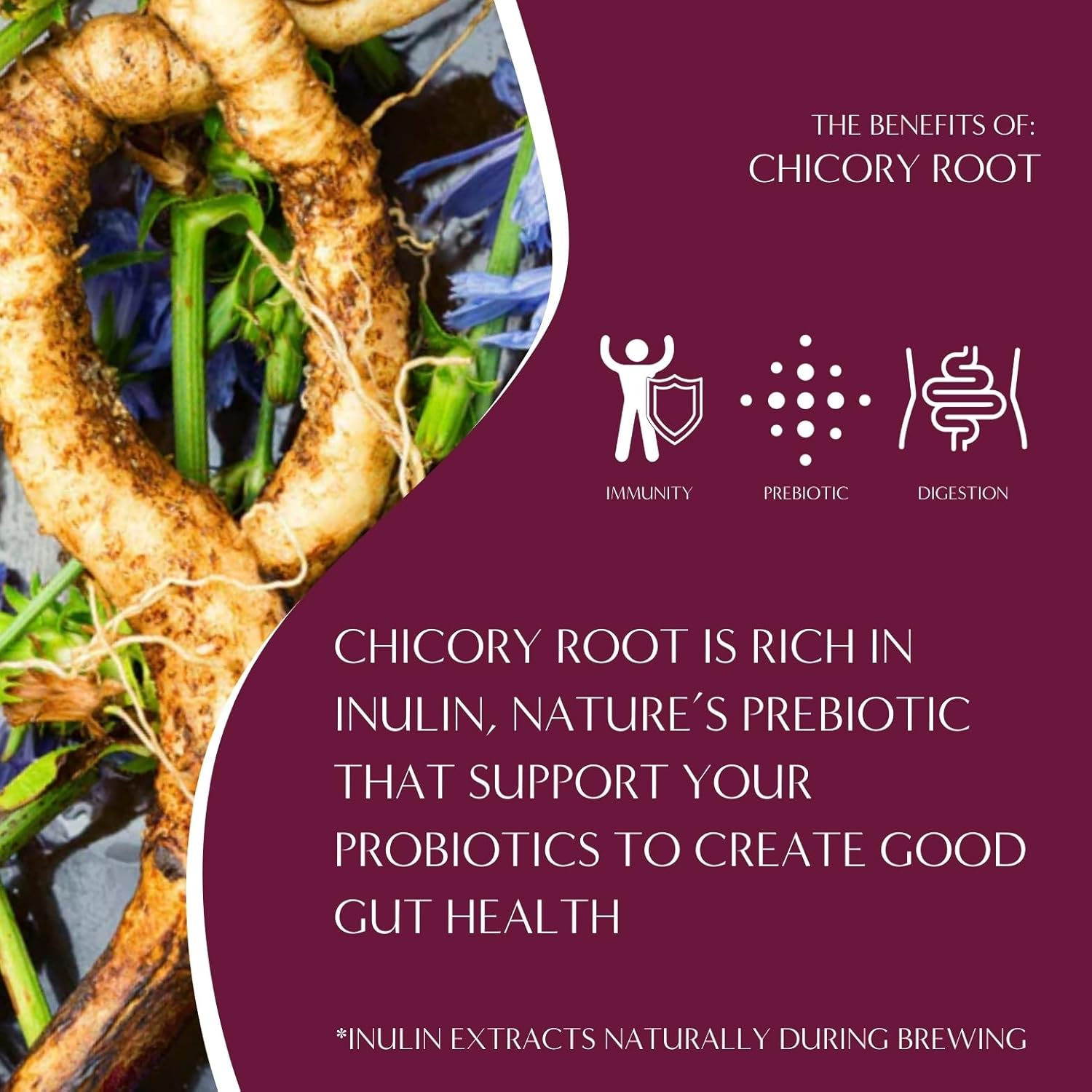 Teeccino All Purpose Grind Mocha Medium Roast Chicory Herbal Coffee 312 G image number 1