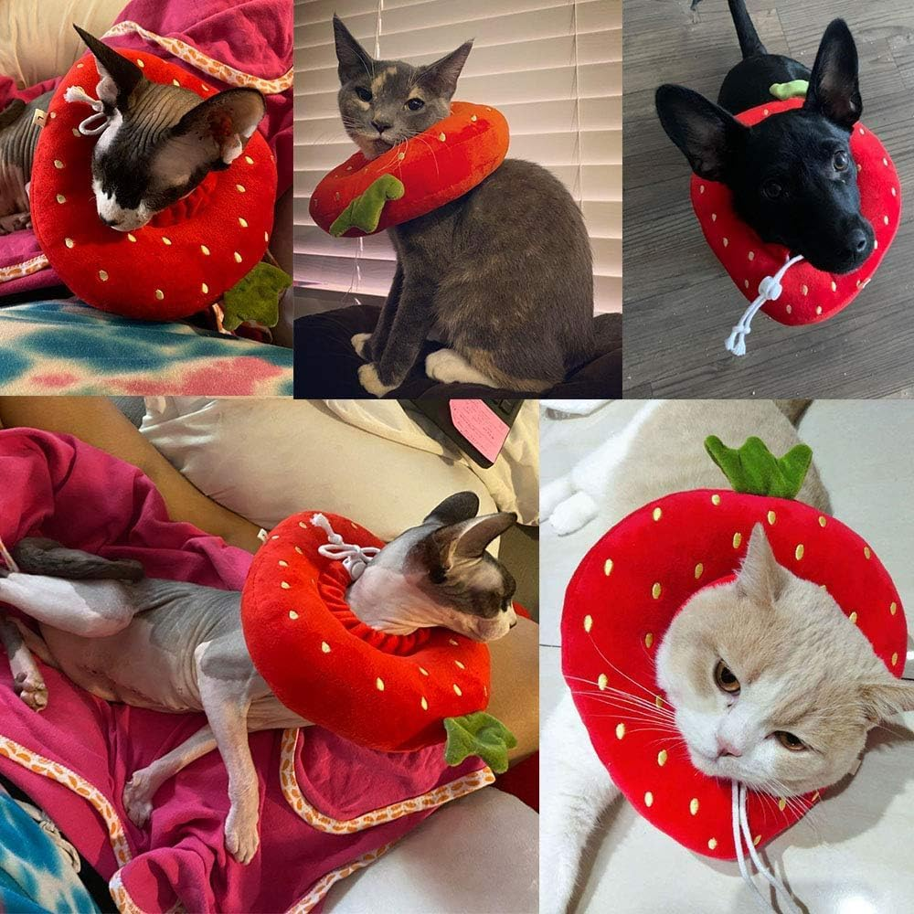 Adjustable Cat Recovery Collar, Cute Strawberry Collar after Surgery, Wound Healing Protective Cone Surgery Recovery Elizabethan Collars, Soft Cat Collar for Kitten Cats (Strawberry, L) image number 4