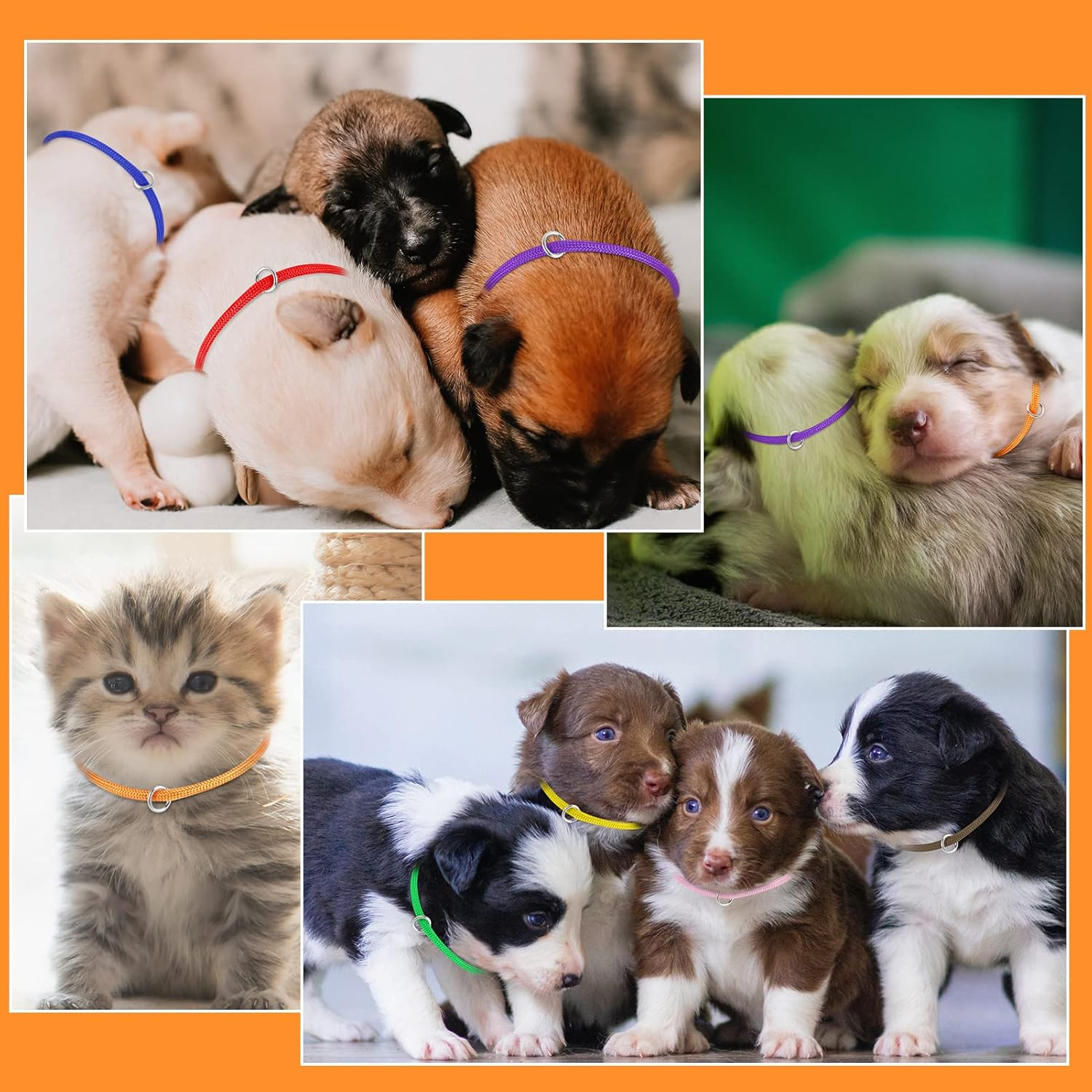 Tonyg-P 12Pcs Puppy ID Collars Whelping Collars Adjustable Puppy ID Bands Identification Puppy Collar for Dog Kitten Newborn Pet,Multi Coloured (S,12-20CM)