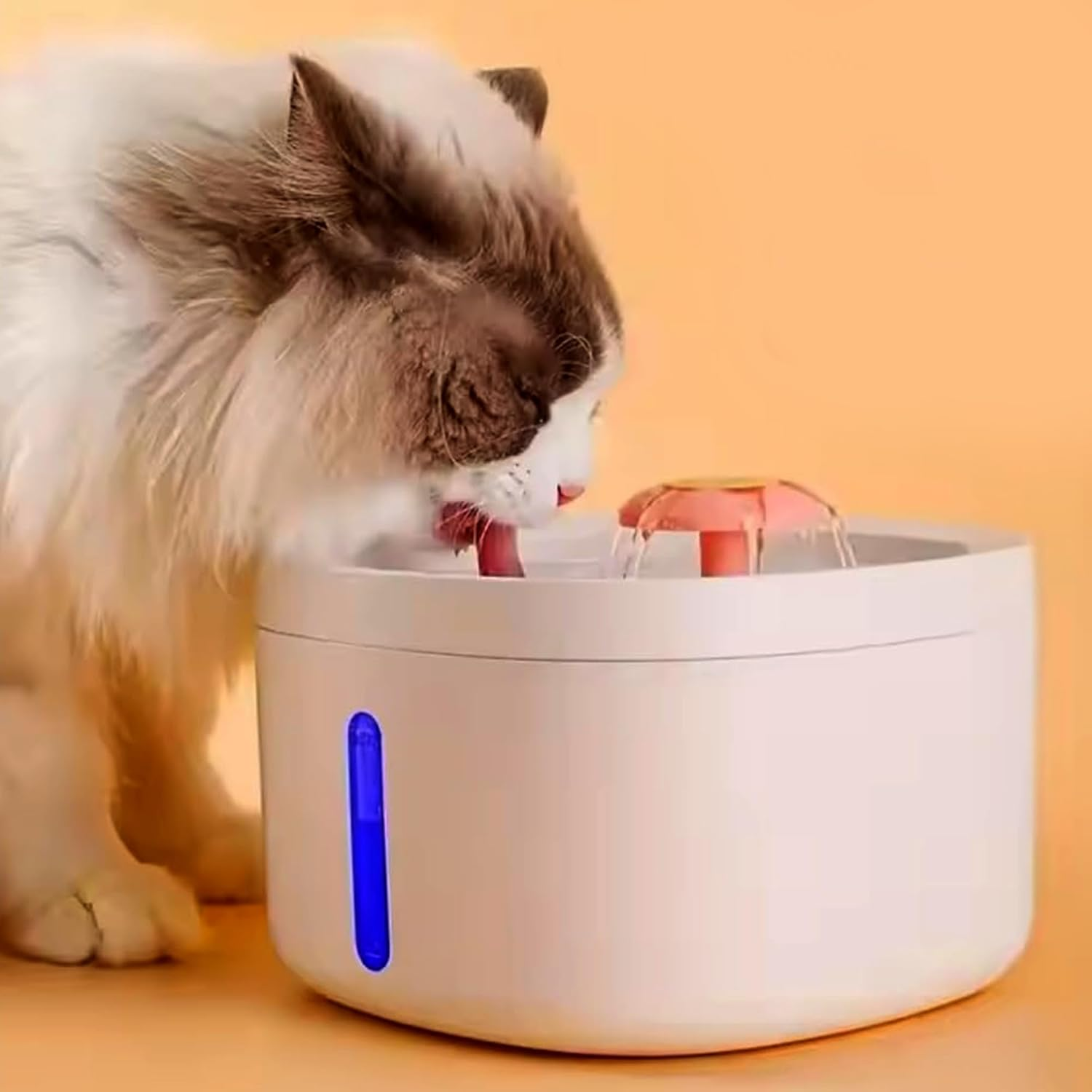 Tails and Treasure Cat Water Fountain with Quiet Pump: Pet Water Fountain, Dog Water Fountain, Automatic Cat Feeder, Cat Fountain, Water Filter for Cats and Dogs, Pet Water Dispenser with Quiet Pump