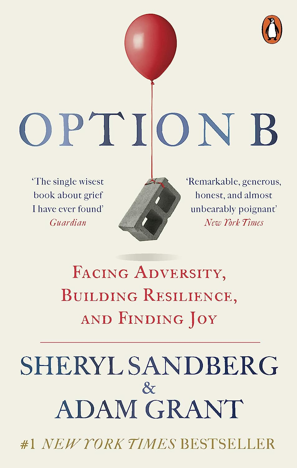 Option B: Facing Adversity, Building Resilience, and Finding Joy image number 1
