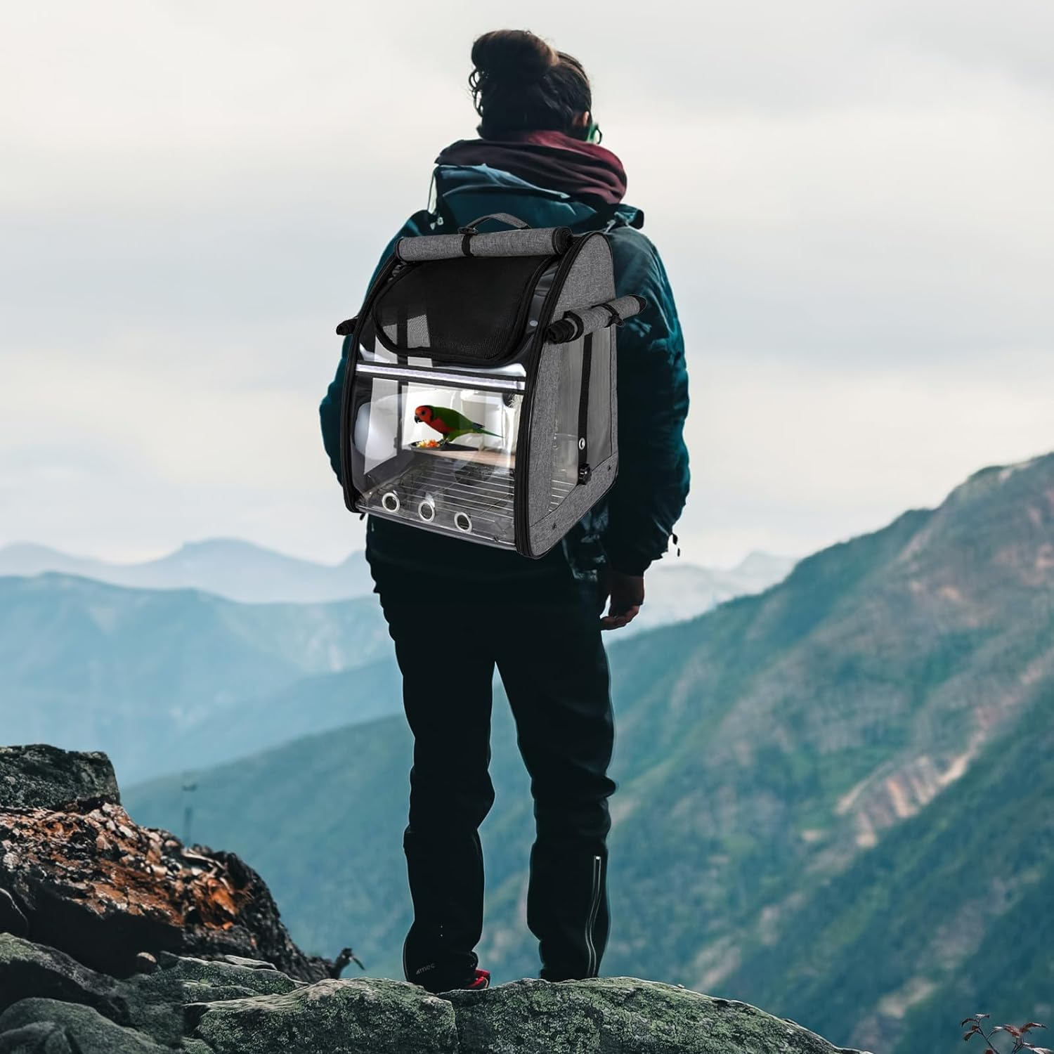 Bird Carrier Backpack - Pet Travel Cage with Upgraded Tray and Standing Perches, Breathable & Portable, for Small Birds, Green Cheek, Cockatiel, Parrot(Grey) image number 1