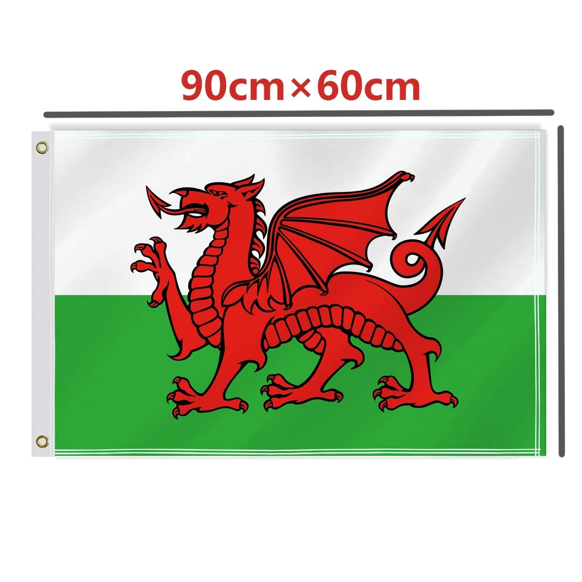 2&times;3 FT Welsh Flag,60&times;90 Medium Size Welsh People National Decor,Double Side Digital Printed 150D Polyester Banner with Canvas Header Brass Grommet image number 2
