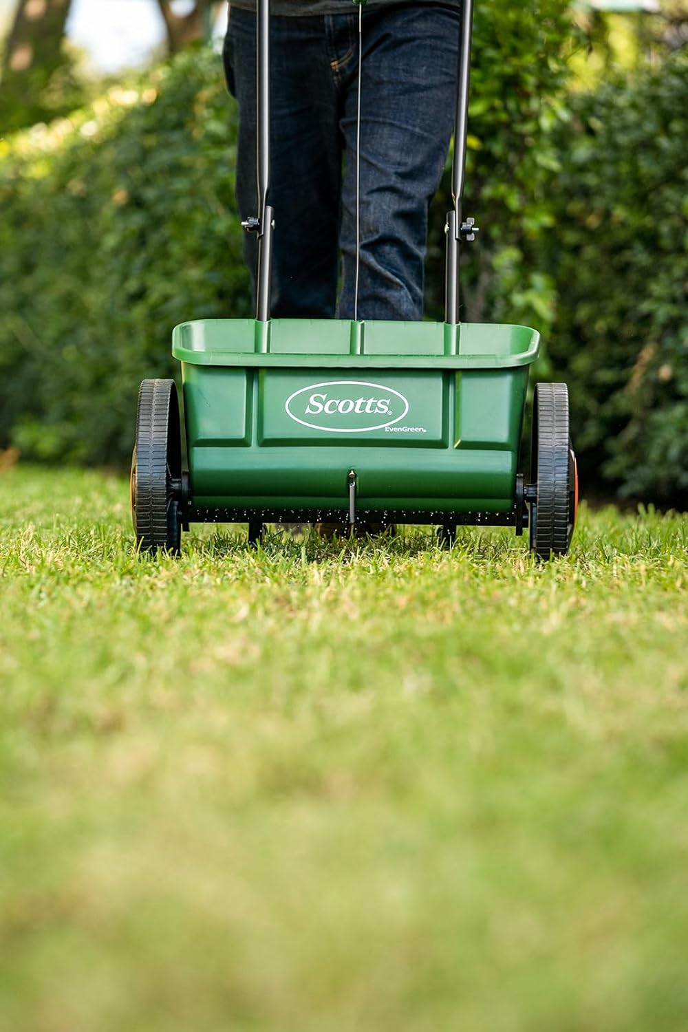 Scotts Lawn Builder Premium Lawn Fertiliser, 15 Kg image number 4