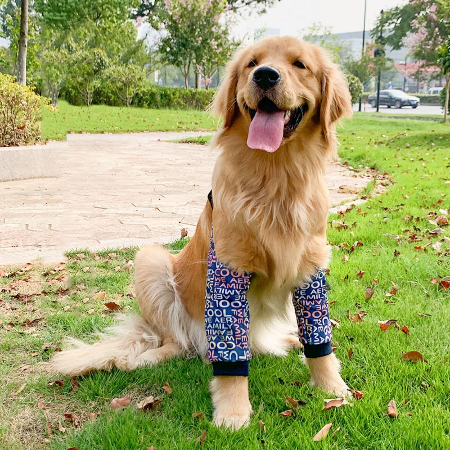 Dog Elbow Protector, Dog Leg Recovery Sleeve for Prevent Licking Wound, Joint Sleeves with Mesh Pad for Medium Large Dogs Thickened Letters (Blue, L) image number 4