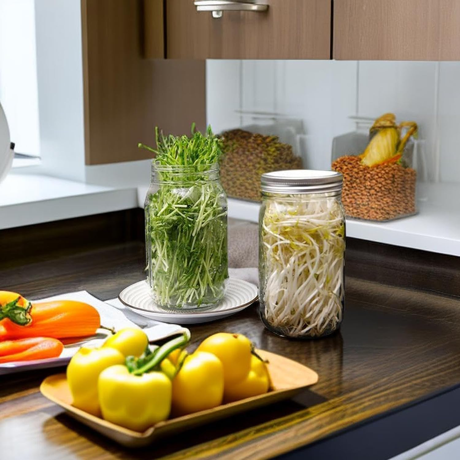 2-Piece Sprouting Jar Kit, Glass Jars with Stainless Steel Germination Covers, Adjustable Drainage Stand, Indoor/Outdoor Use, Clear image number 4