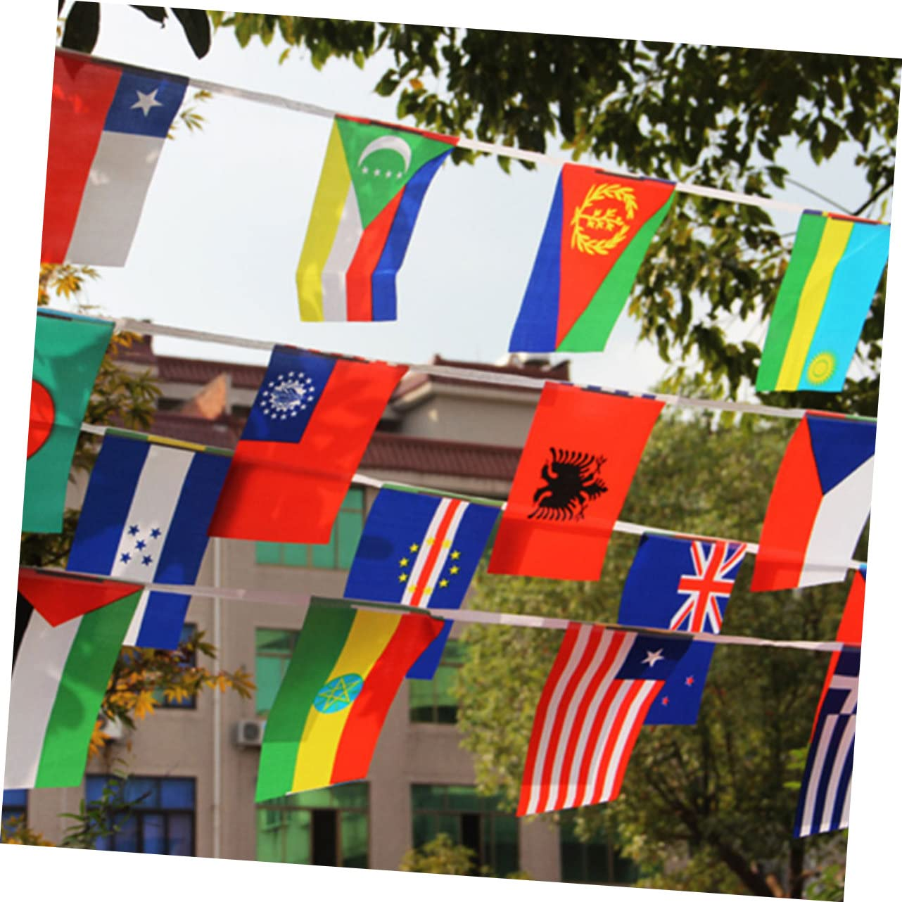 BUTIFULSIC National String Flag Banner Countries World Flags Bunting Bar Decorations School Events Sports Clubs Festivals Parties image number 4