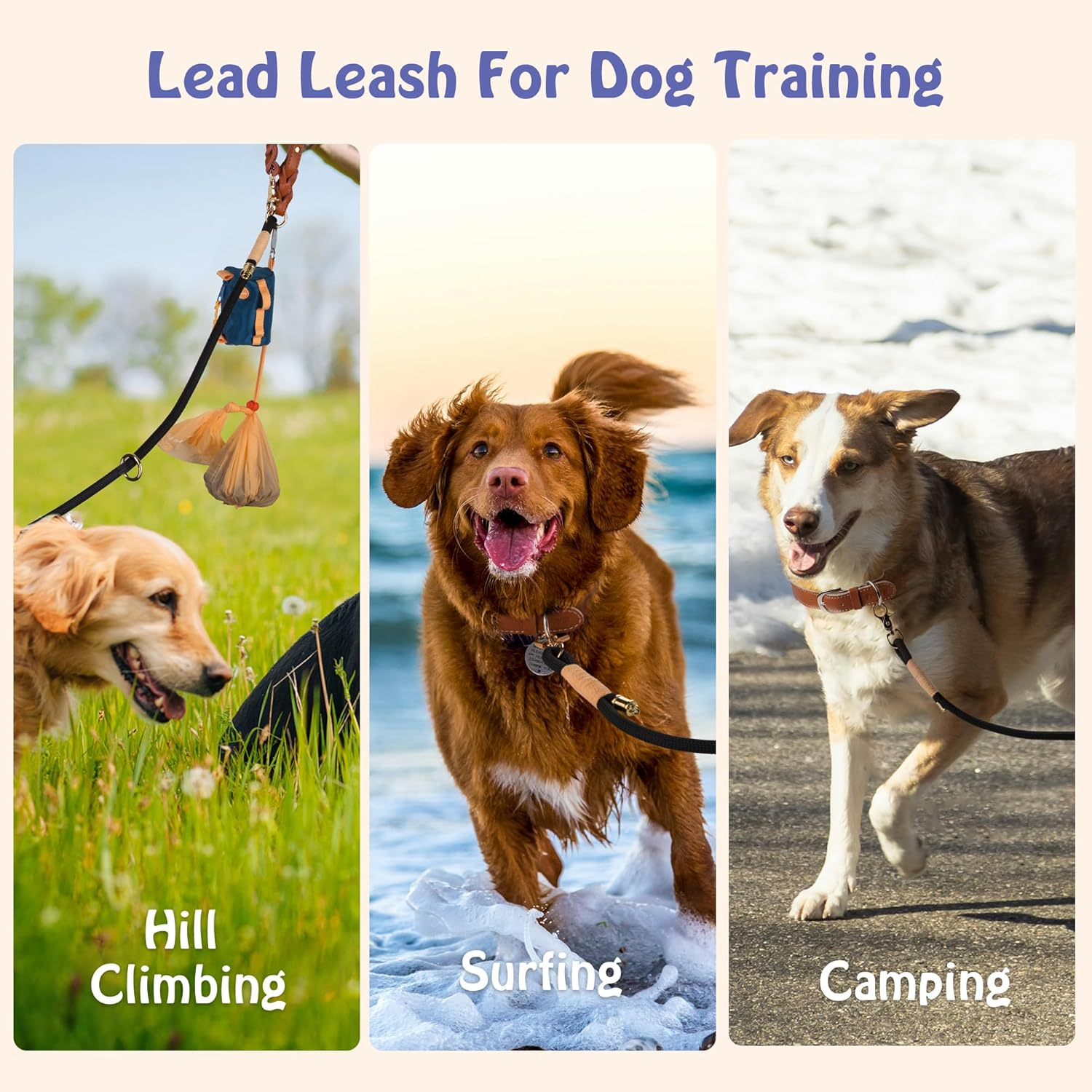 Premium Dog Leash 7FT Adjustable Rope Lead with Full Grain Leather Handle &ndash; Heavy Duty 10Mm Nylon Leash for Medium to Large Dogs, Comfortable Control for Daily Walking & Training image number 6