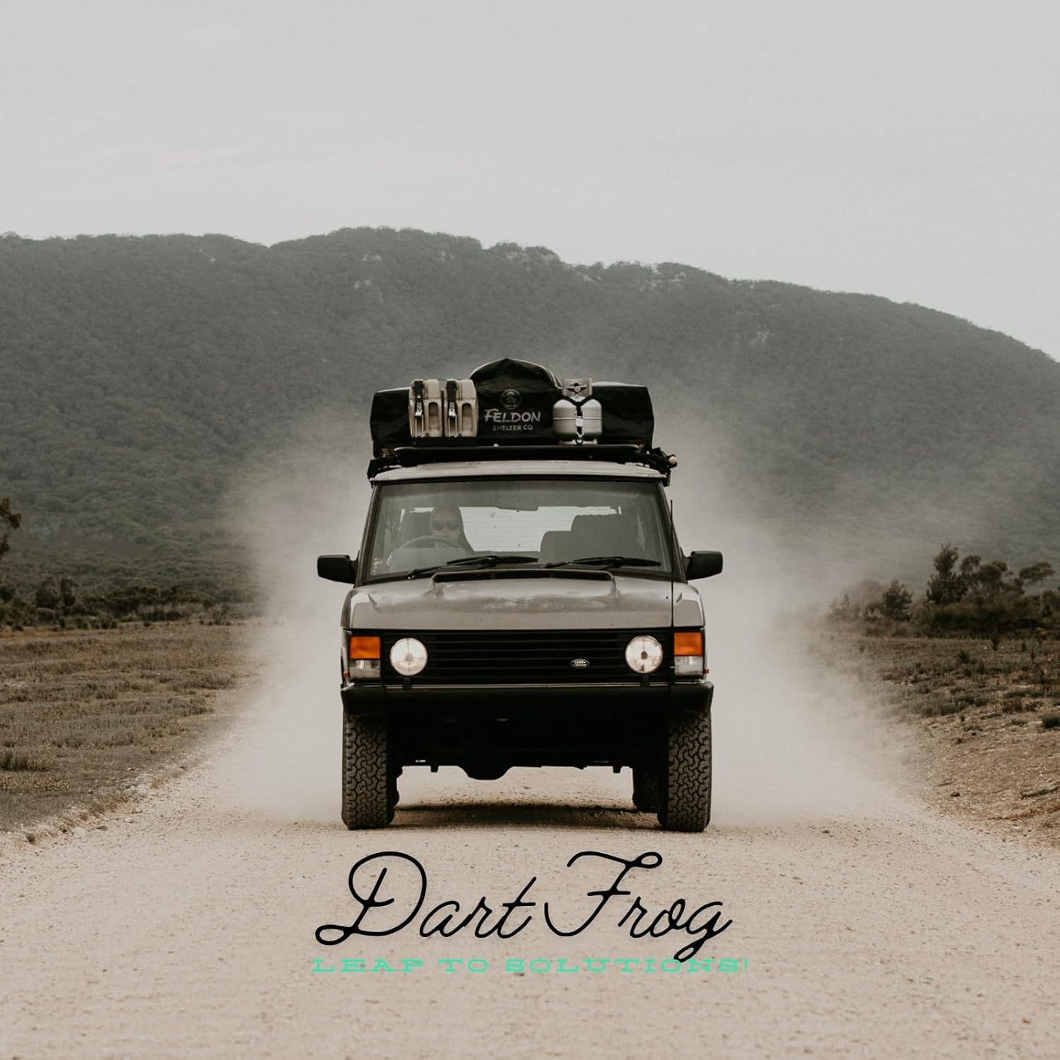 Dart Frog 20 Tyre Valve Caps, Universal Fit for Cars, Bikes, Trucks