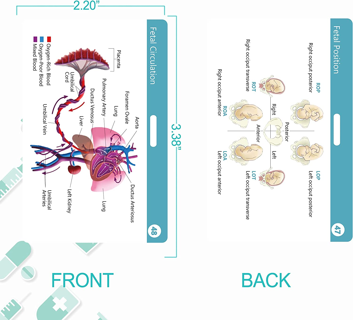 49 Nursing Badge Reference Cards, Nursing School Essentials for Students, Bonus Cheat Sheets - Include Pharmacology, Respiratory, EKG, OB/L&D, Pediatrics, Endocrine, Neurology image number 2