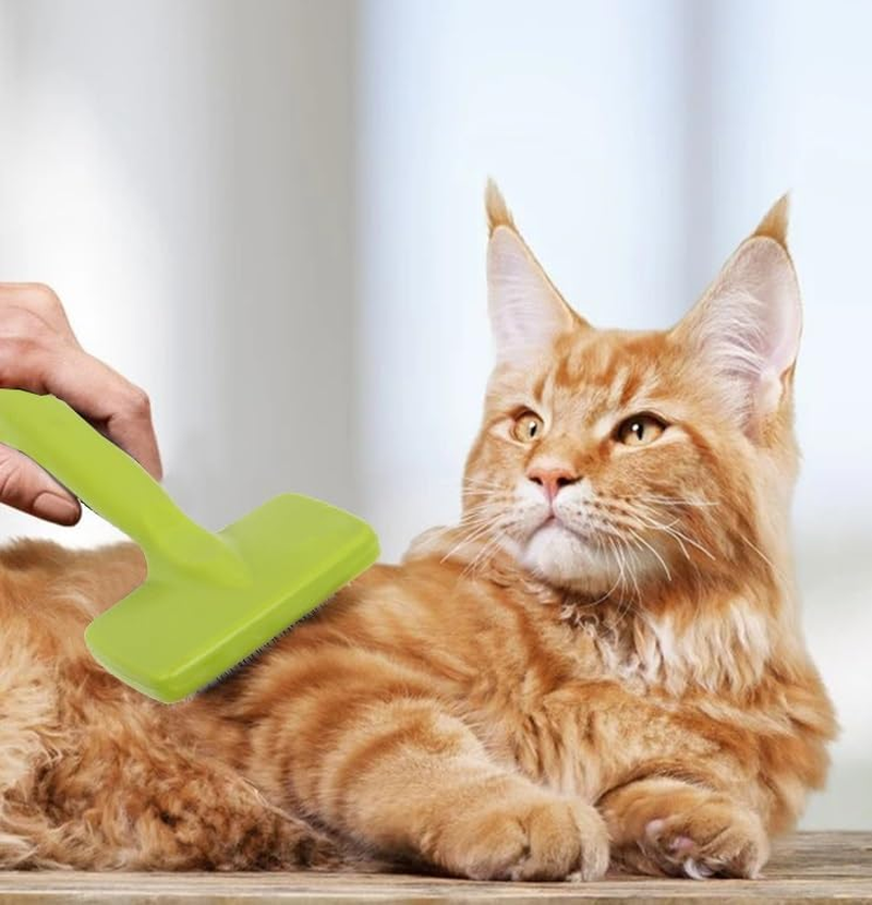 Self-Cleaning Slicker Brush for Dogs, Pet Supplies for Dogs, Dog Grooming Tools (Green, One Size)