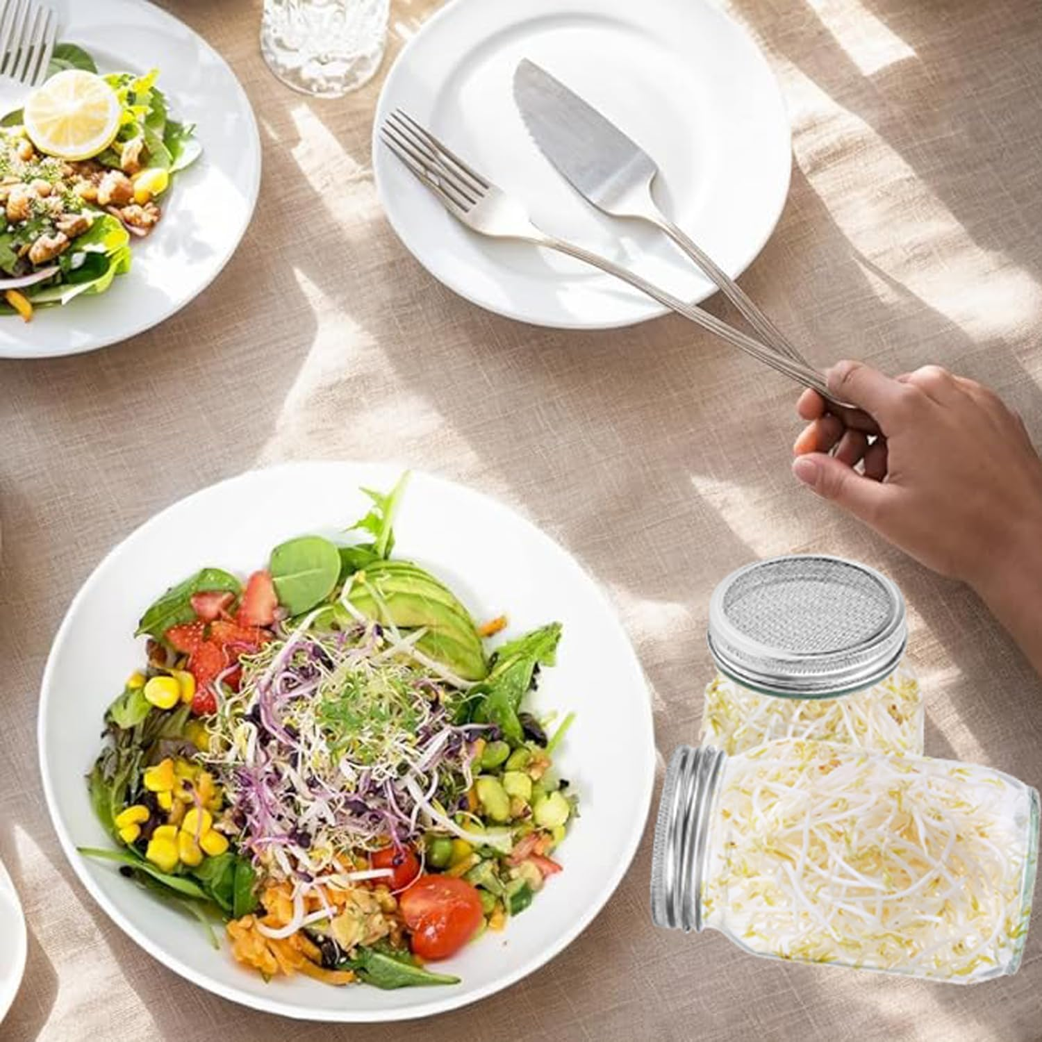 2-Piece Sprouting Jar Kit, Glass Jars with Stainless Steel Germination Covers, Adjustable Drainage Stand, Indoor/Outdoor Use, Clear image number 1