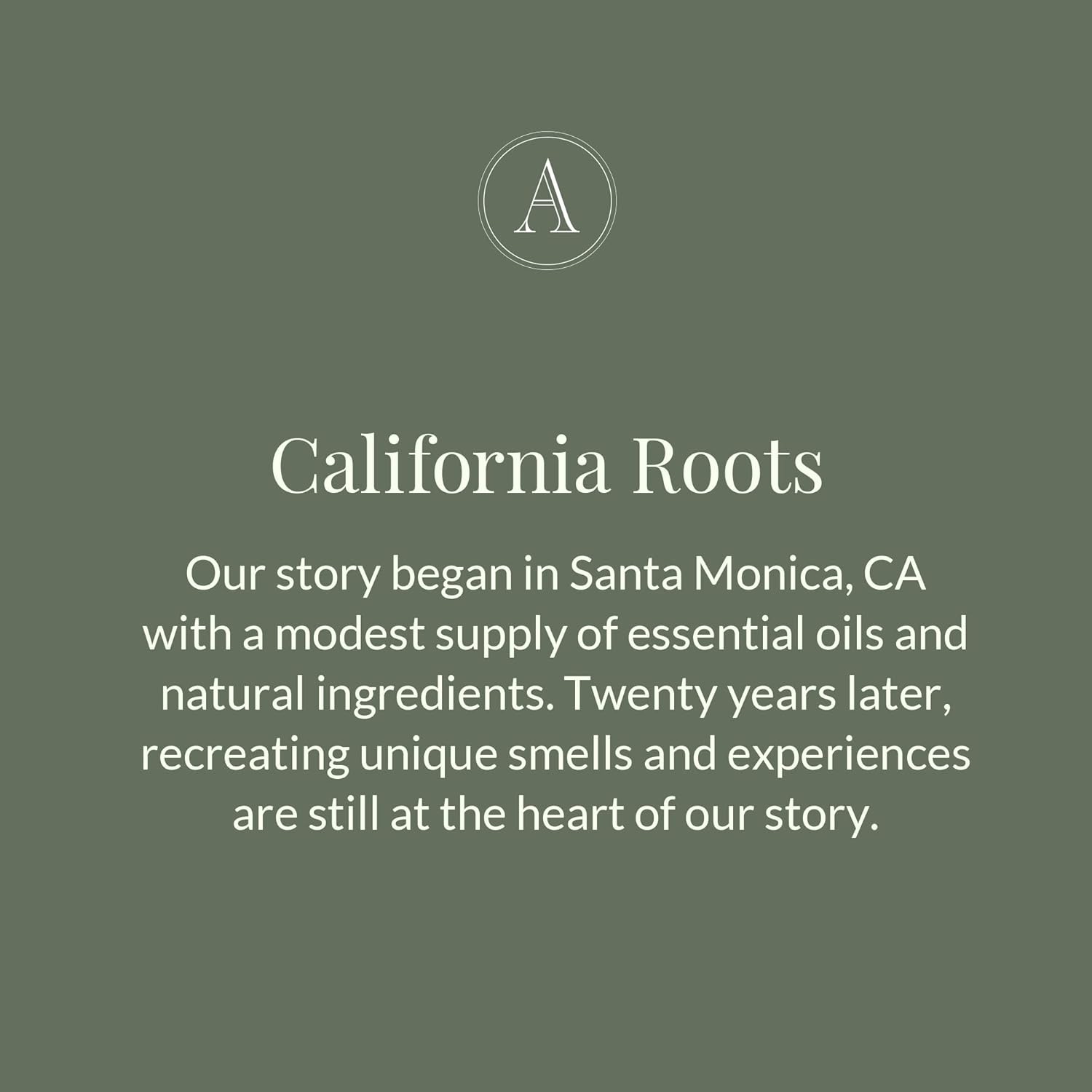 Body Wash - Coconut by Archipelago Botanicals for Unisex - 17 Oz Body Wash image number 2